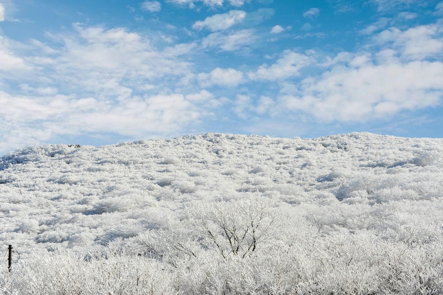 Paesaggio montano coperto di neve con cielo blu
