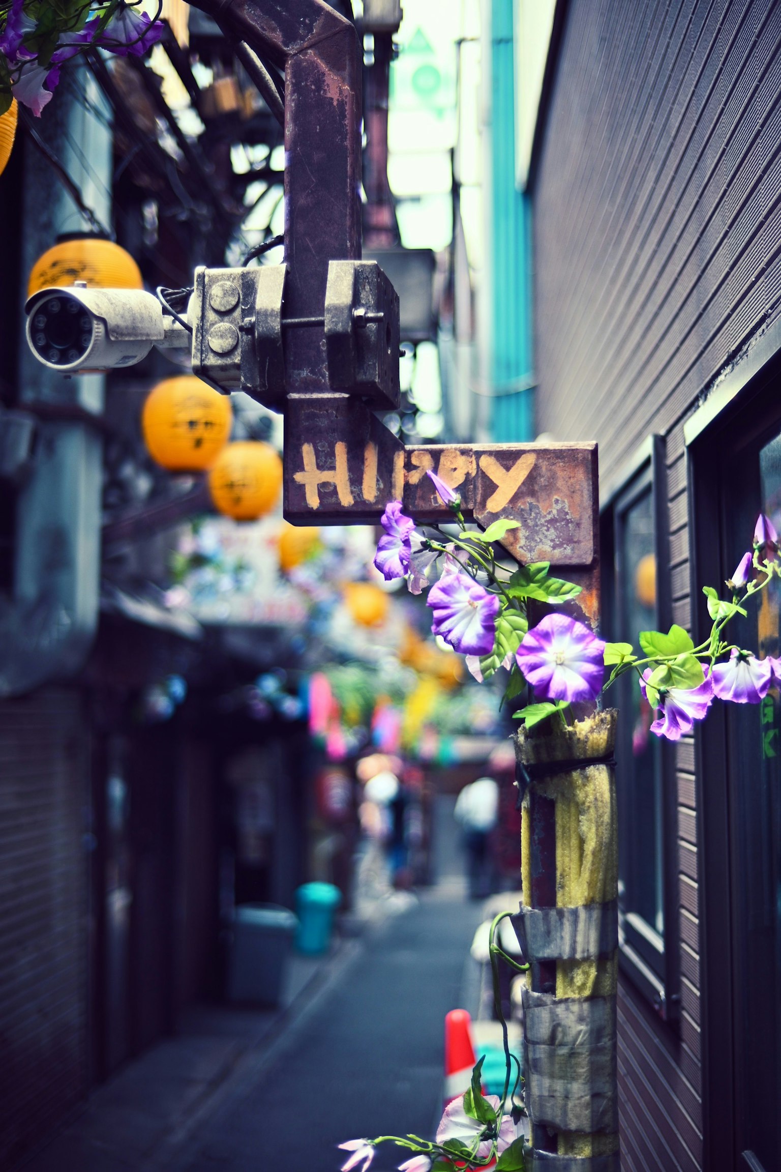 Allée étroite avec un panneau Happy et des fleurs violettes