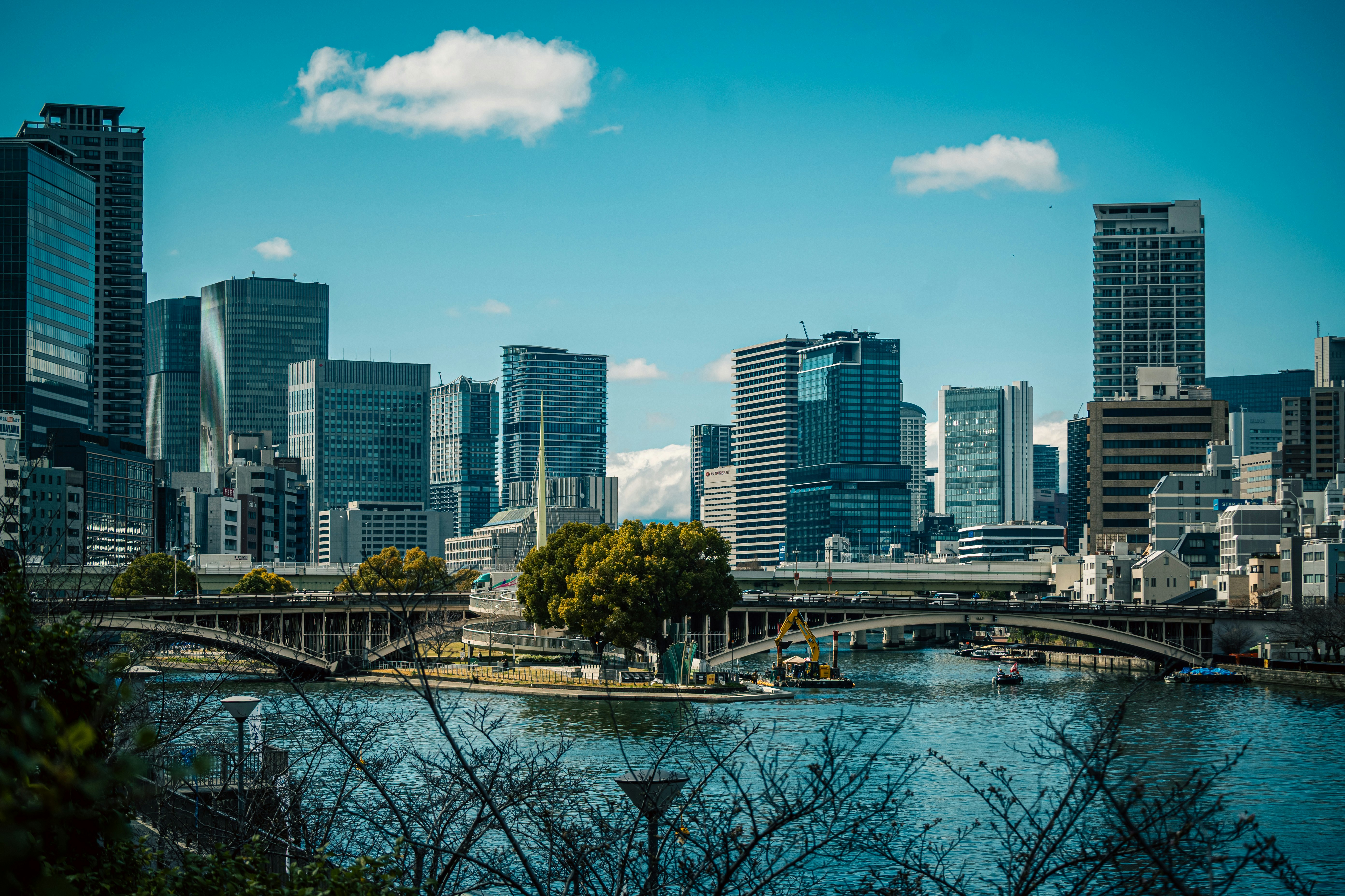 川沿いの都市の高層ビル群と橋のある風景