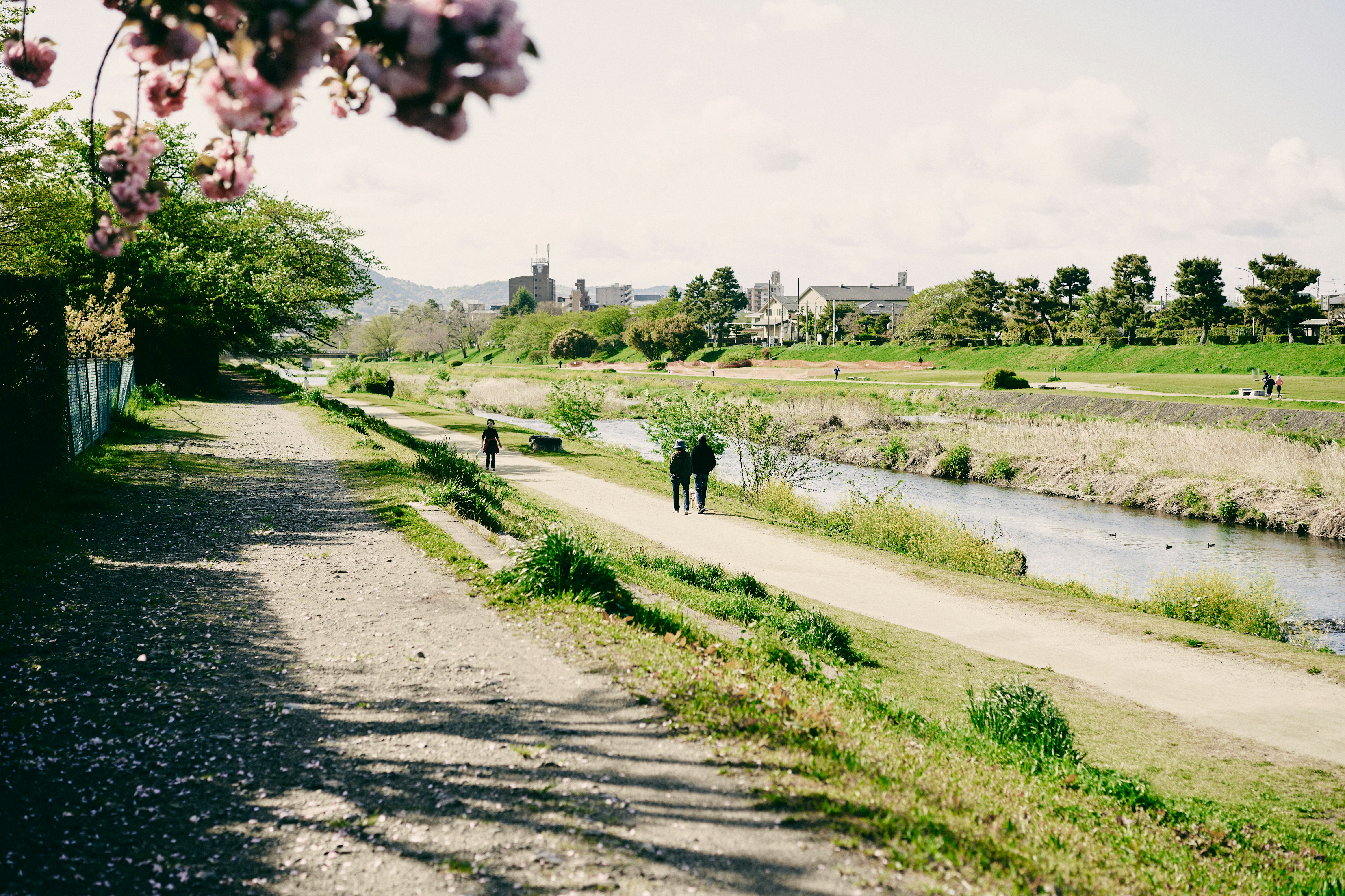 川沿いの遊歩道を歩く人々と緑の風景