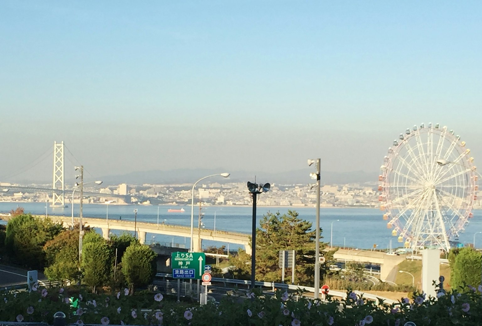 海岸線和摩天輪的風景