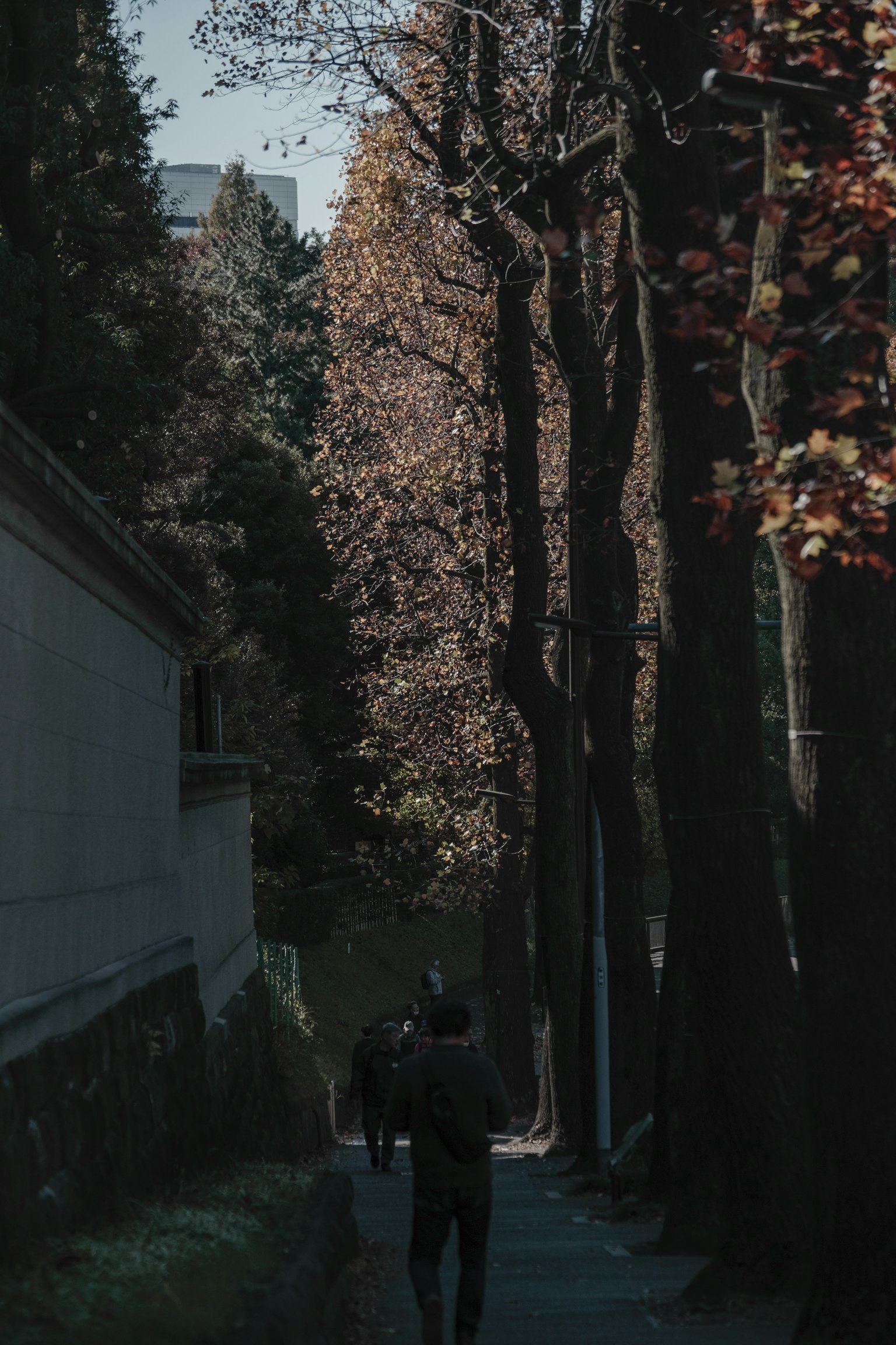 A person walking down a dark path surrounded by trees