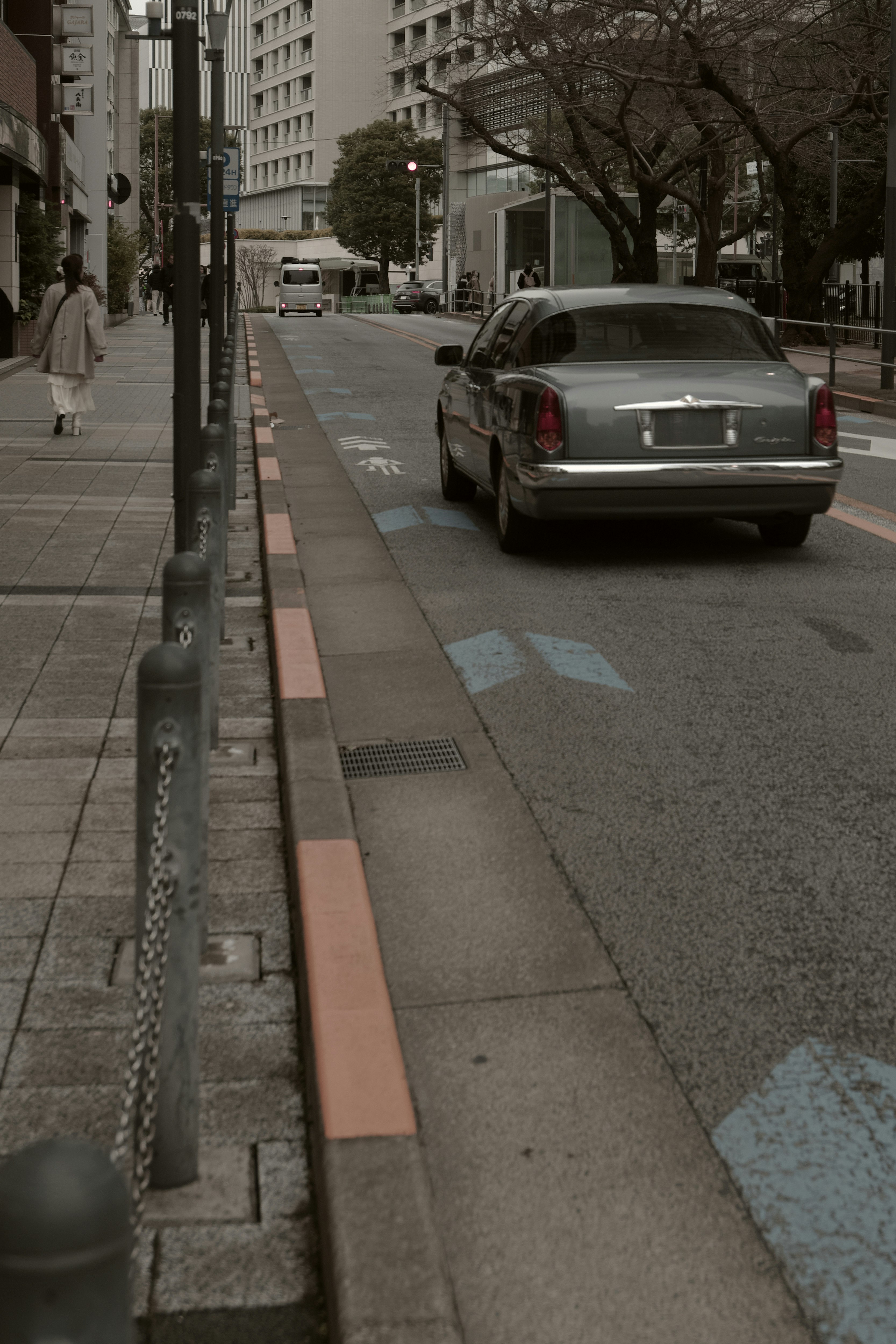 街路樹のある都市の車道風景