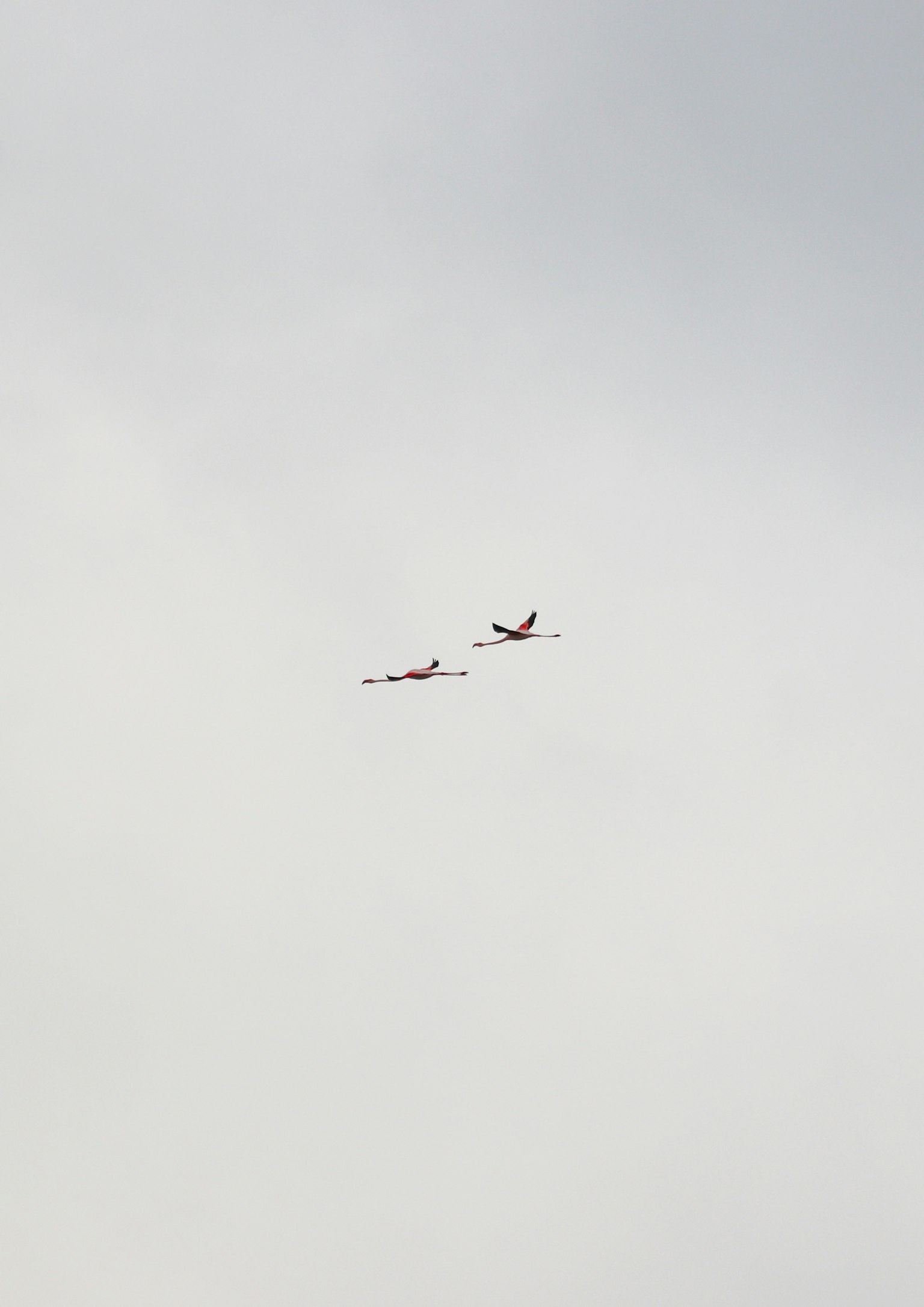 Dos aviones volando en el cielo