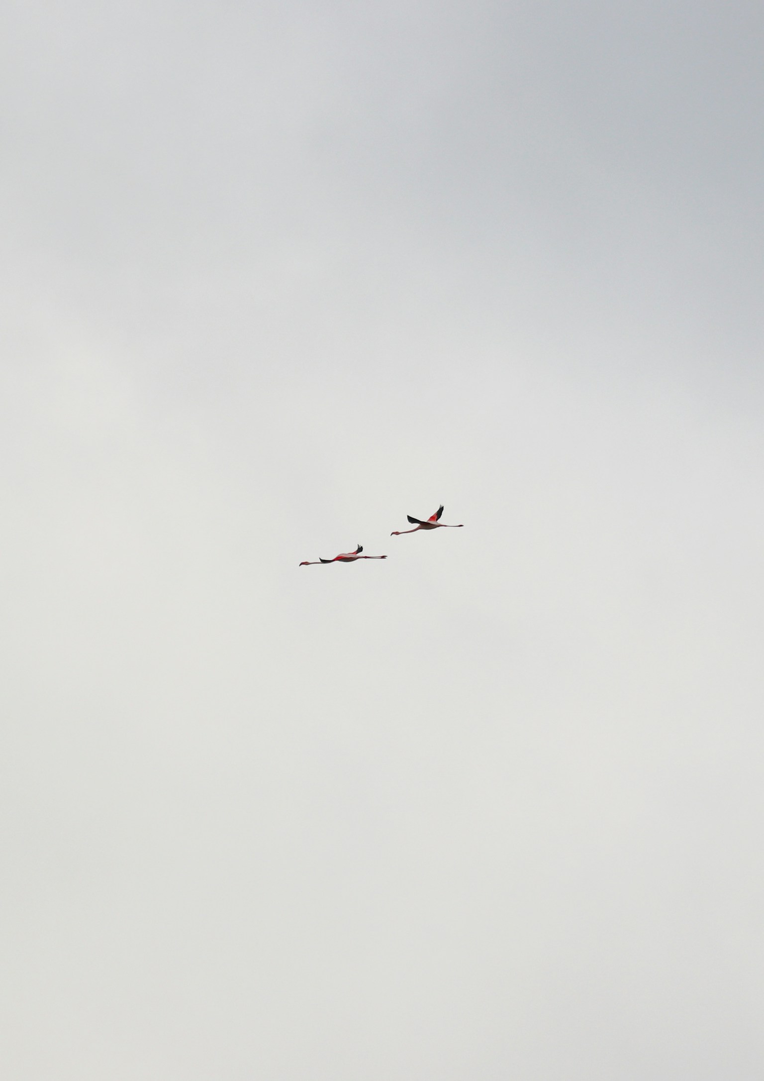 photo-2D2qTt6vsHd0FyNKOIGy-image