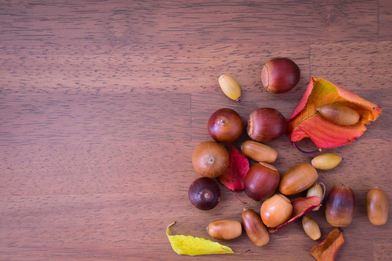 Fruits d'automne et feuilles éparpillés sur une table en bois