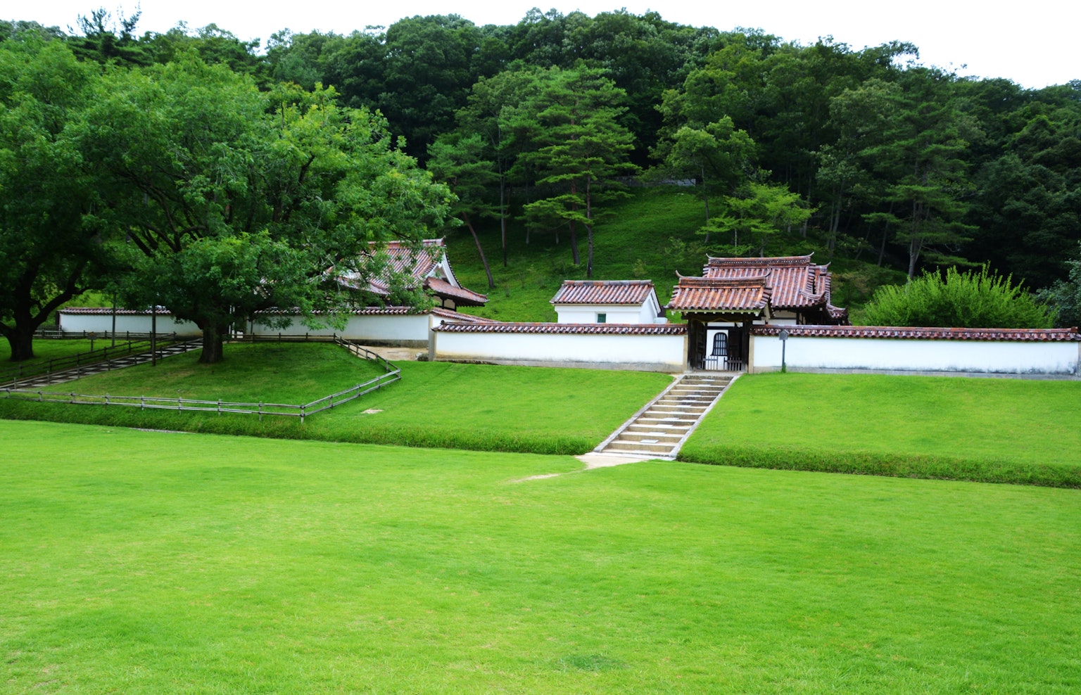 Paesaggio verde con edifici tradizionali