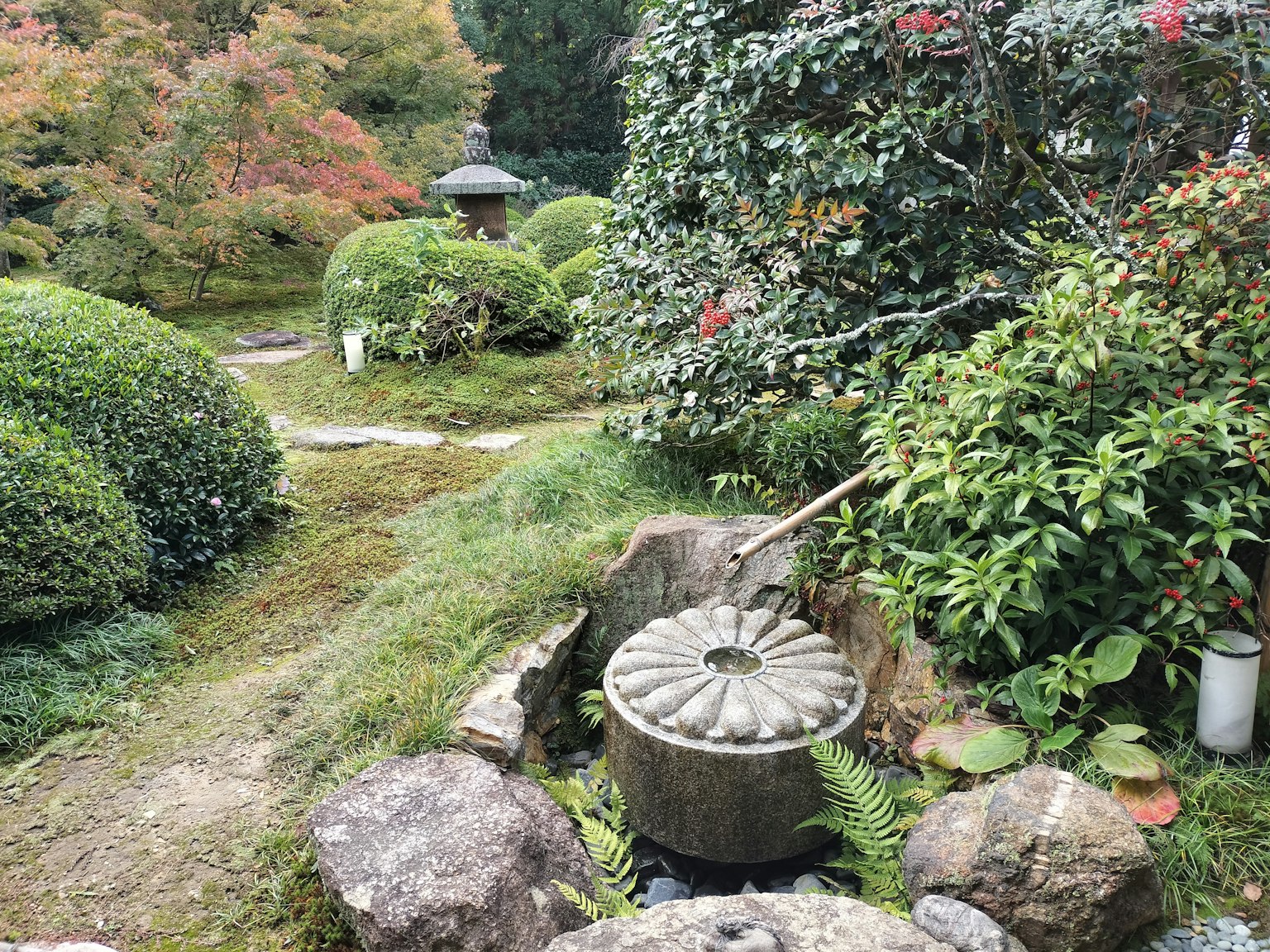 Jardin japonais pittoresque avec un bassin d'eau en pierre et une végétation luxuriante