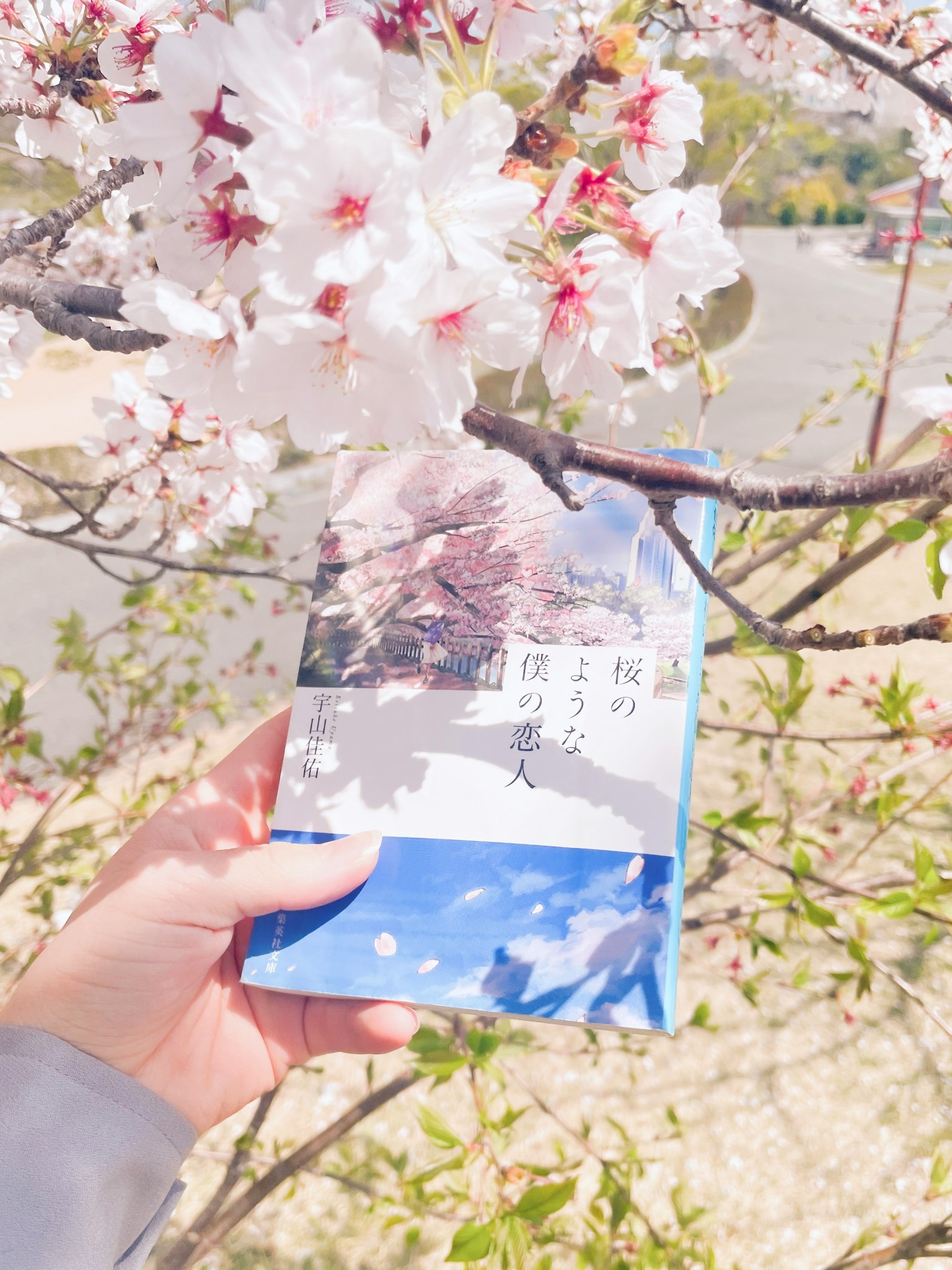 Una mano che tiene un libro con copertina blu vicino ai fiori di ciliegio