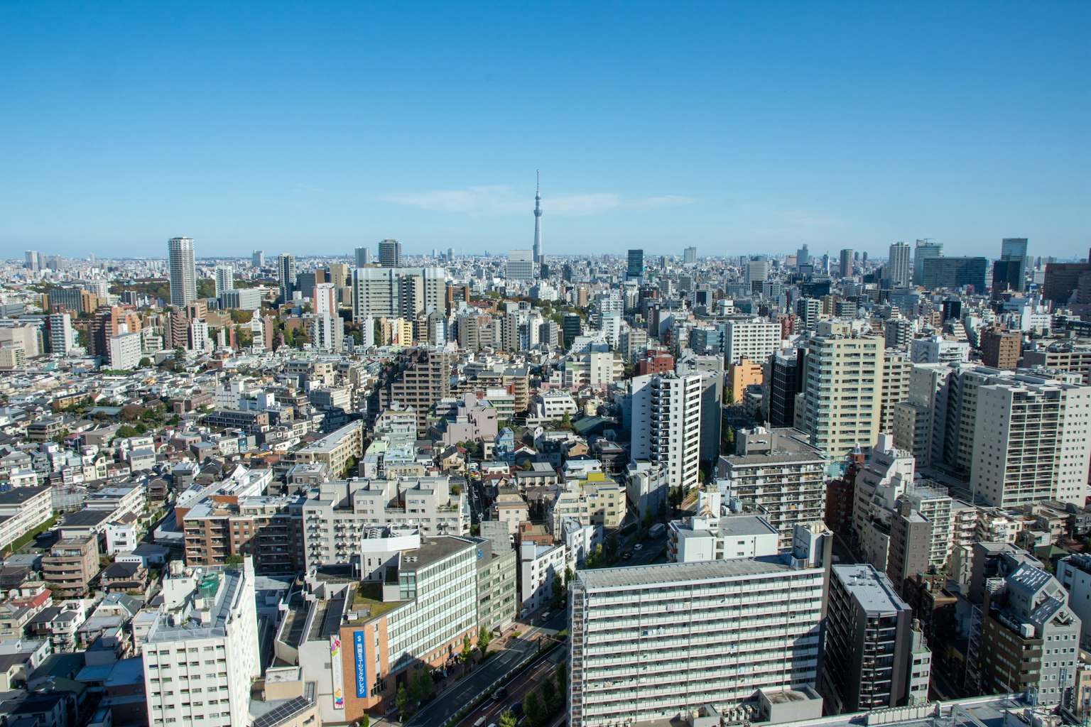 俯瞰東京都市景觀的廣闊視野 高樓大廈與晴朗的藍天