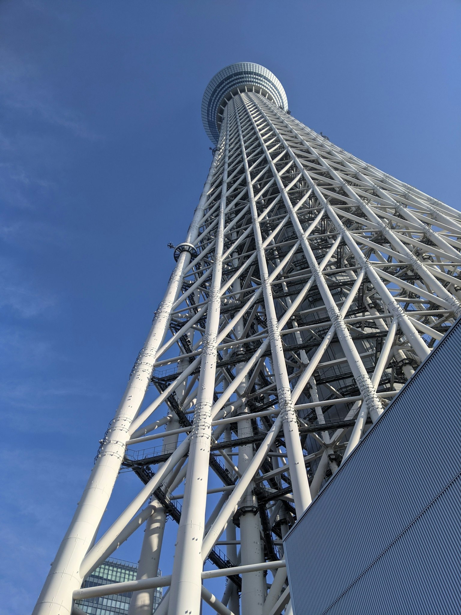 东京晴空塔的白色钢结构与蓝天