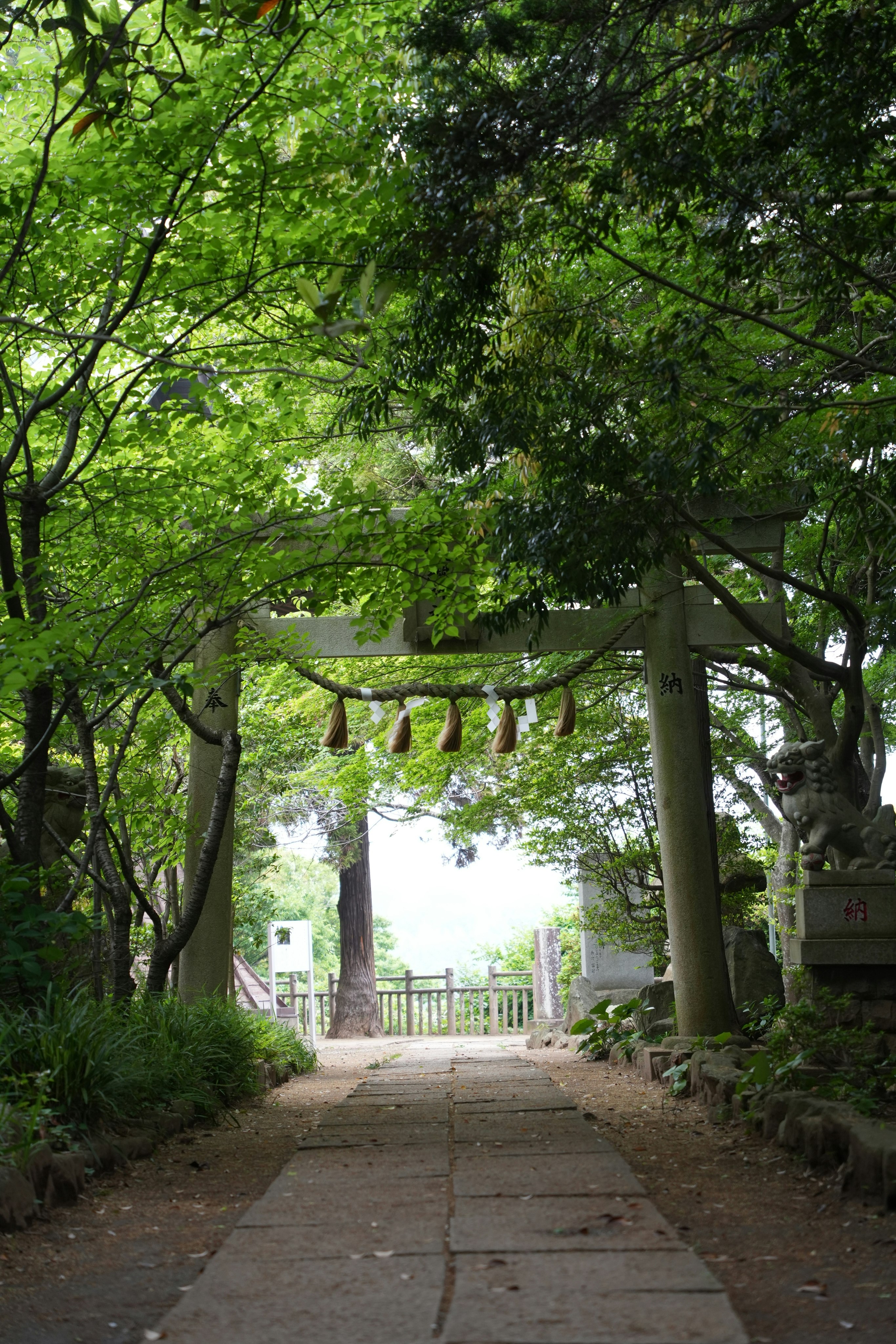 緑の木々に囲まれた石畳の参道と鳥居のある小径