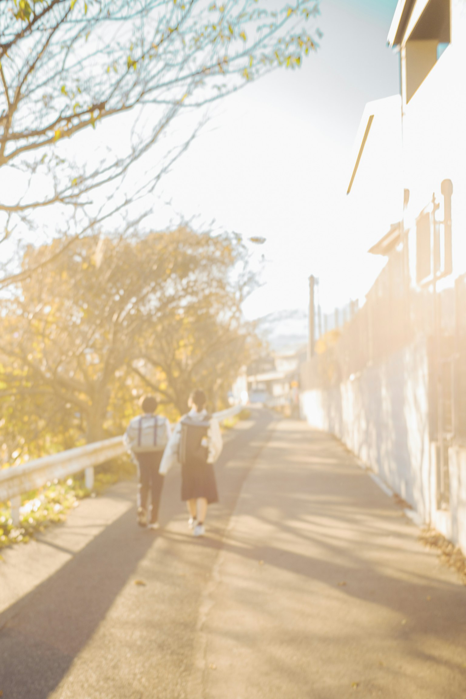 穏やかな日差しの中を歩く二人の人物と周囲の自然