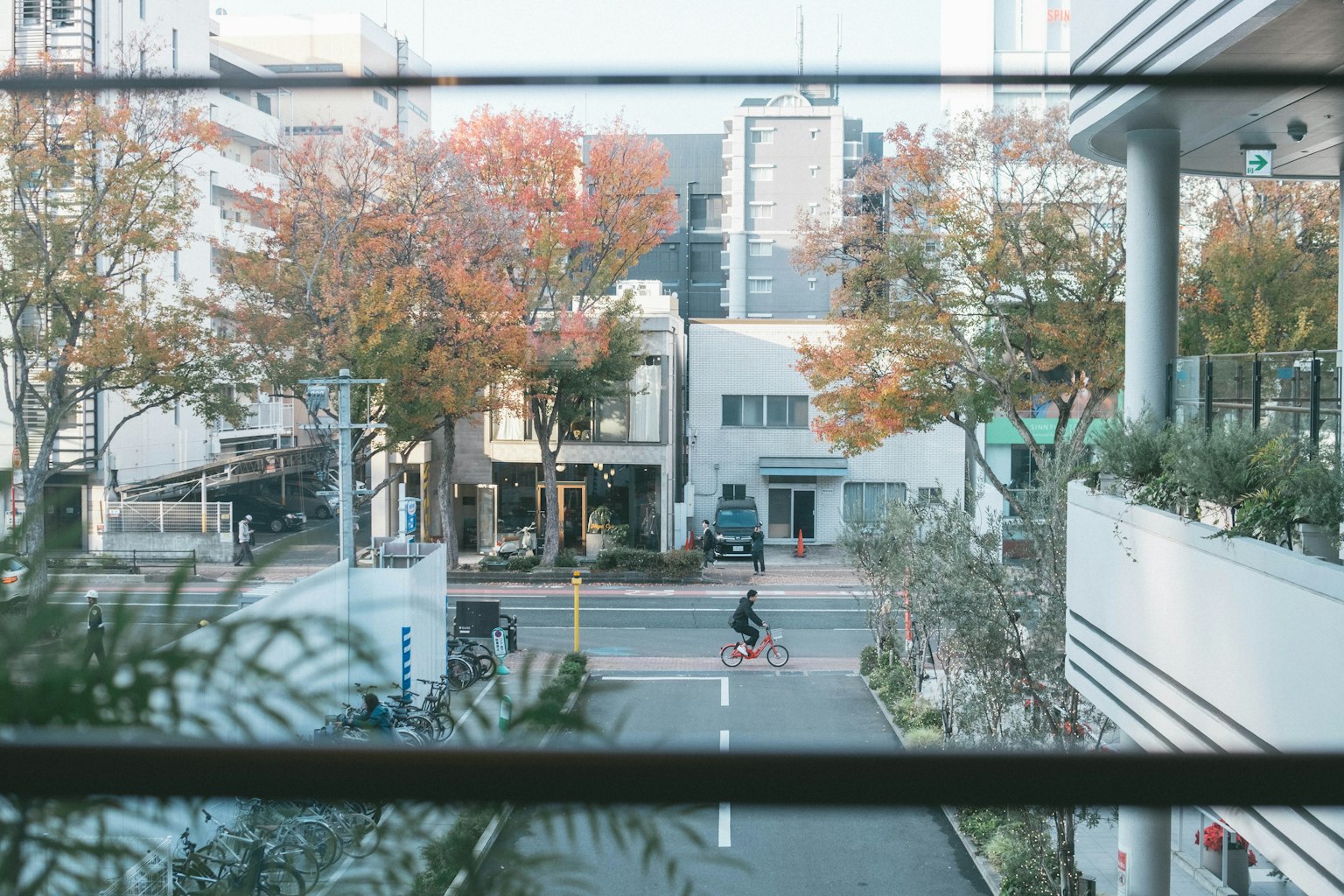 Blick auf eine herbstliche Straße mit einer Person auf einem Fahrrad durch ein Fenster