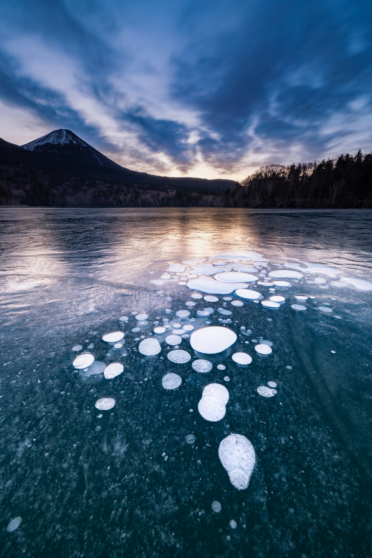 photo-2G14nTxPi5svbdcnSl26-image