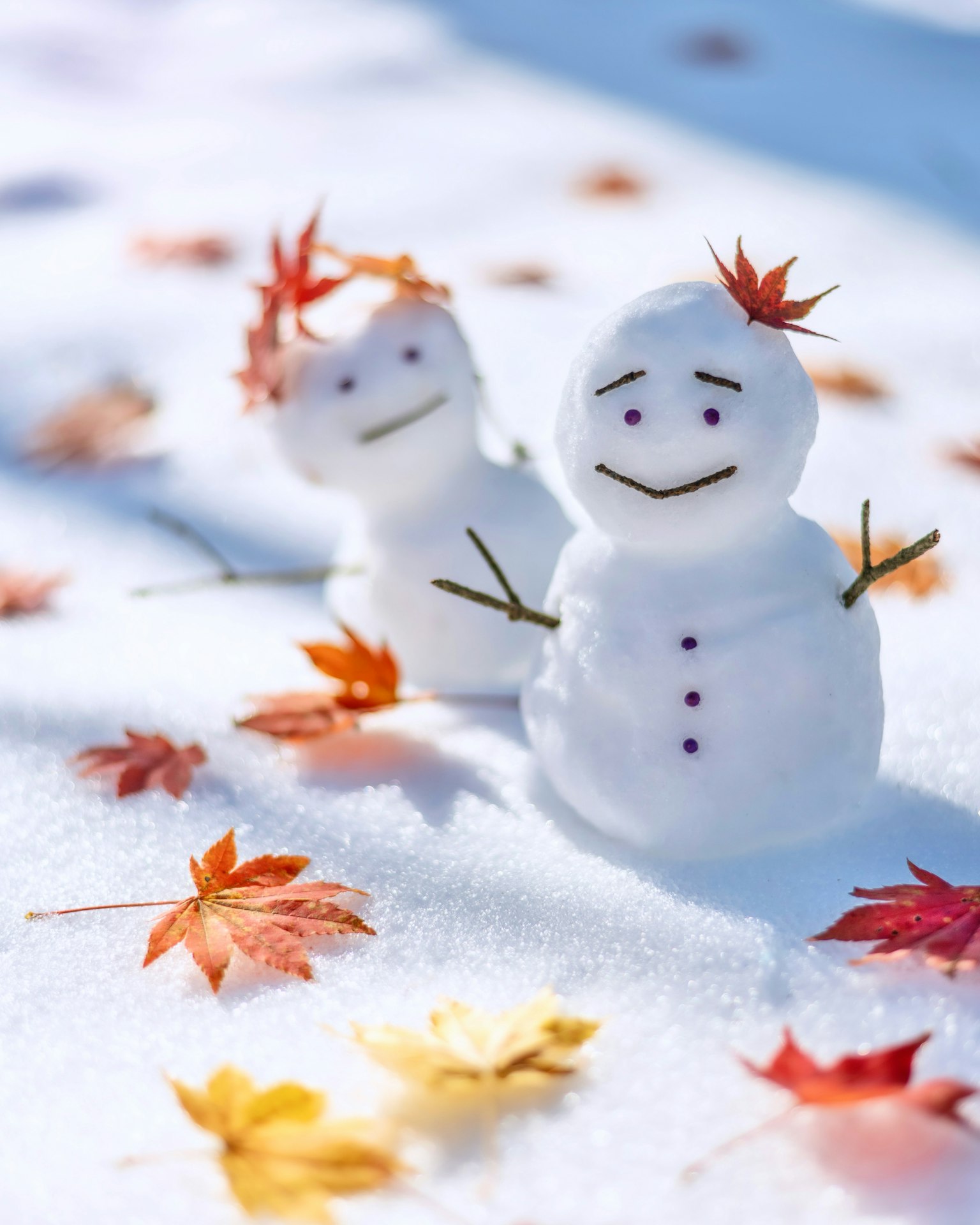 Deux bonhommes de neige sur la neige avec des feuilles d'automne colorées autour d'eux