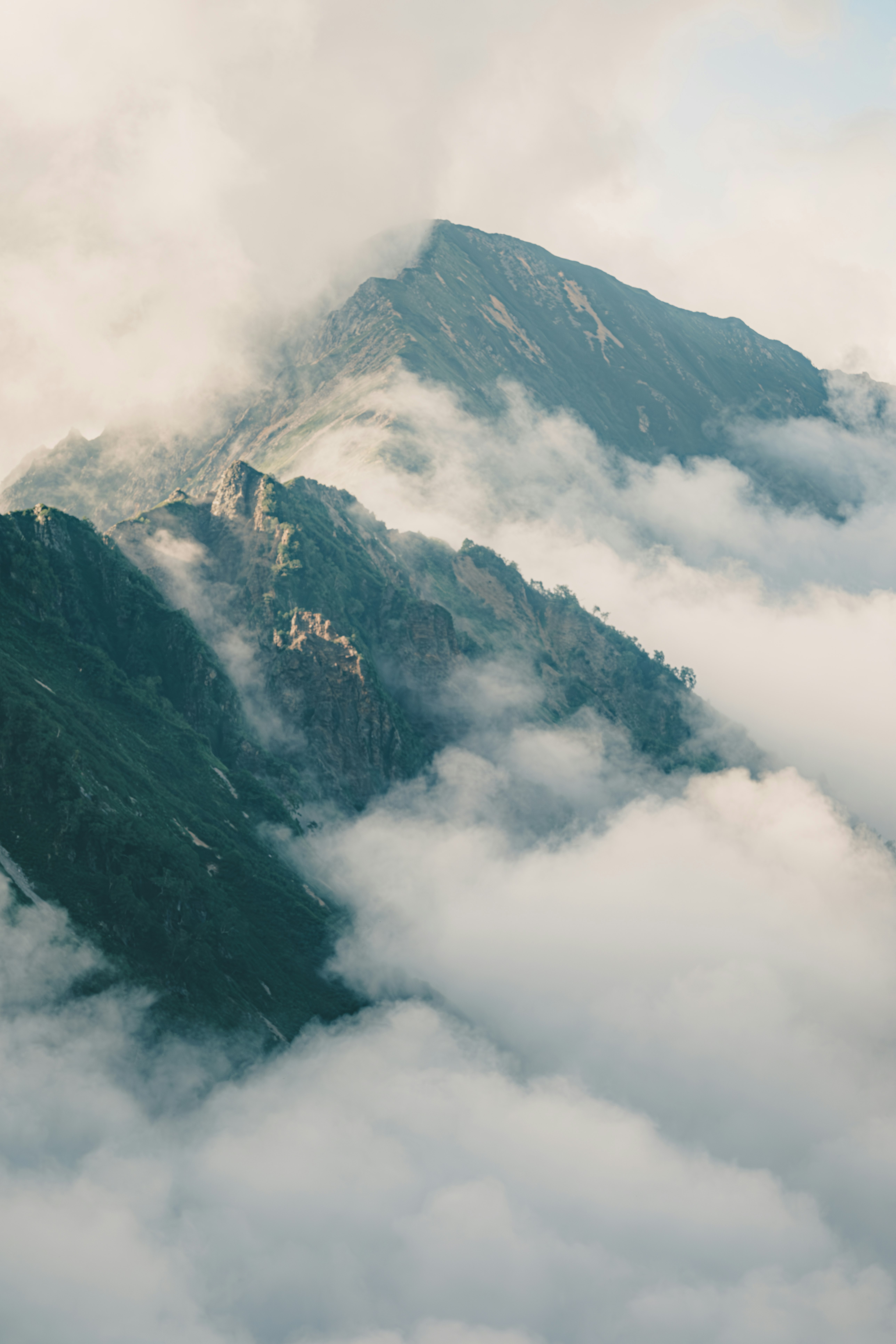 crêtes montagneuses émergeant d’une mer de nuages