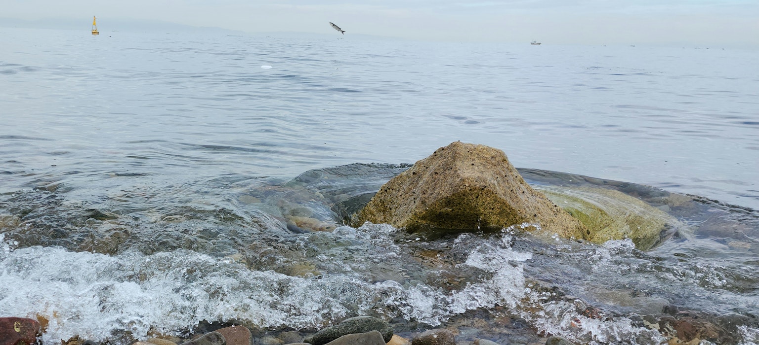 Scène côtière avec des vagues et un rivage rocheux