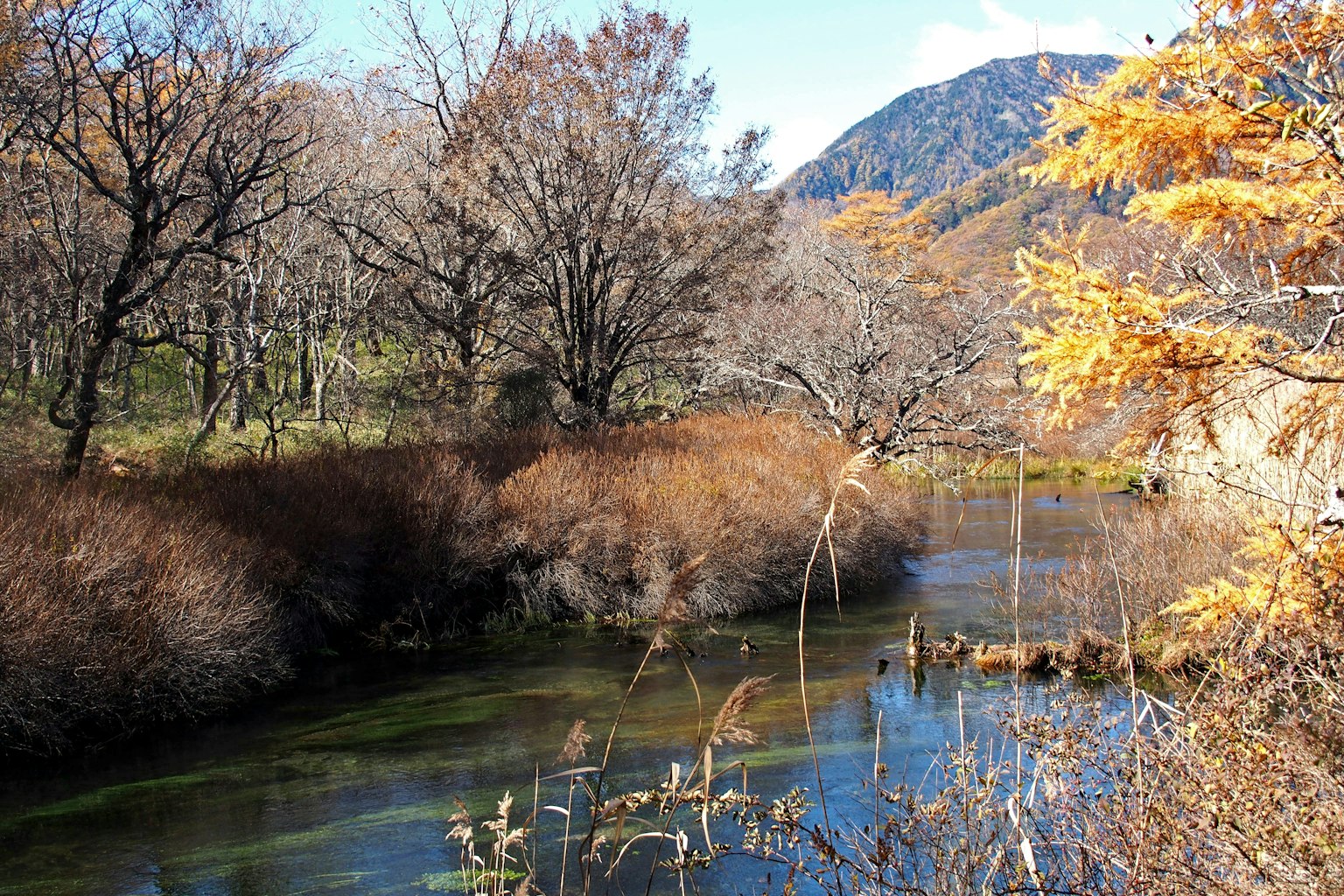Serene river landscape with autumn trees and mountain backdrop