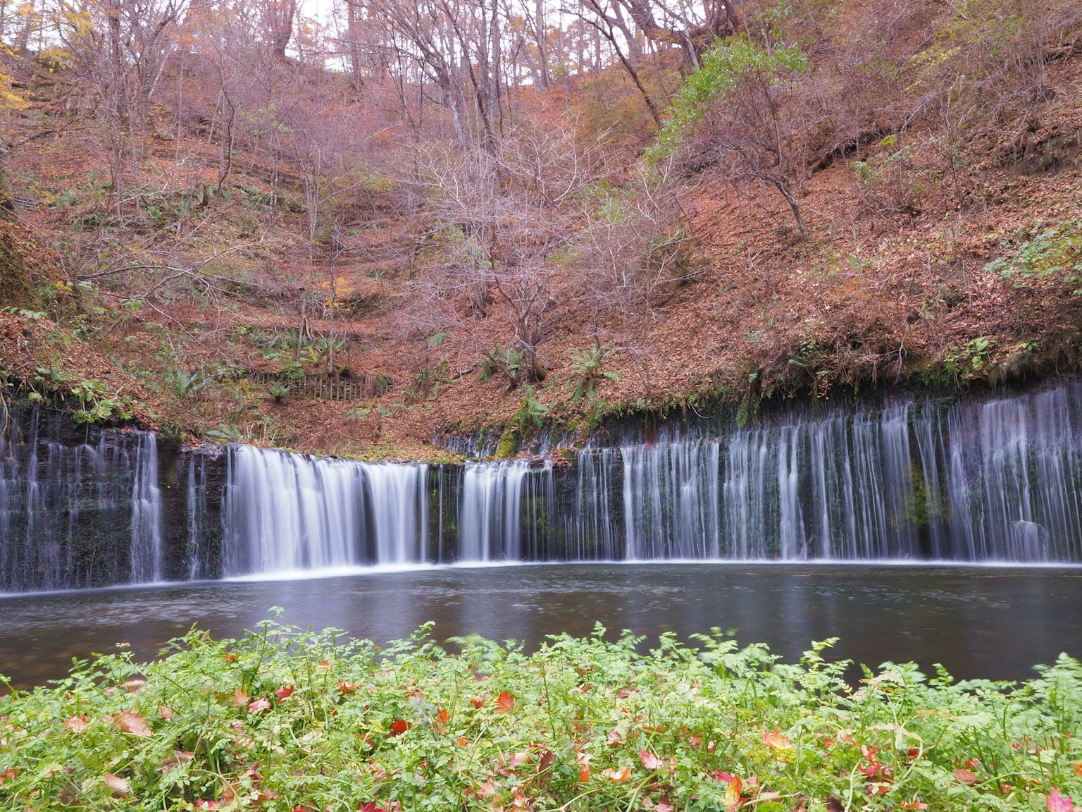 A serene pond surrounded by autumn foliage and a beautiful waterfall