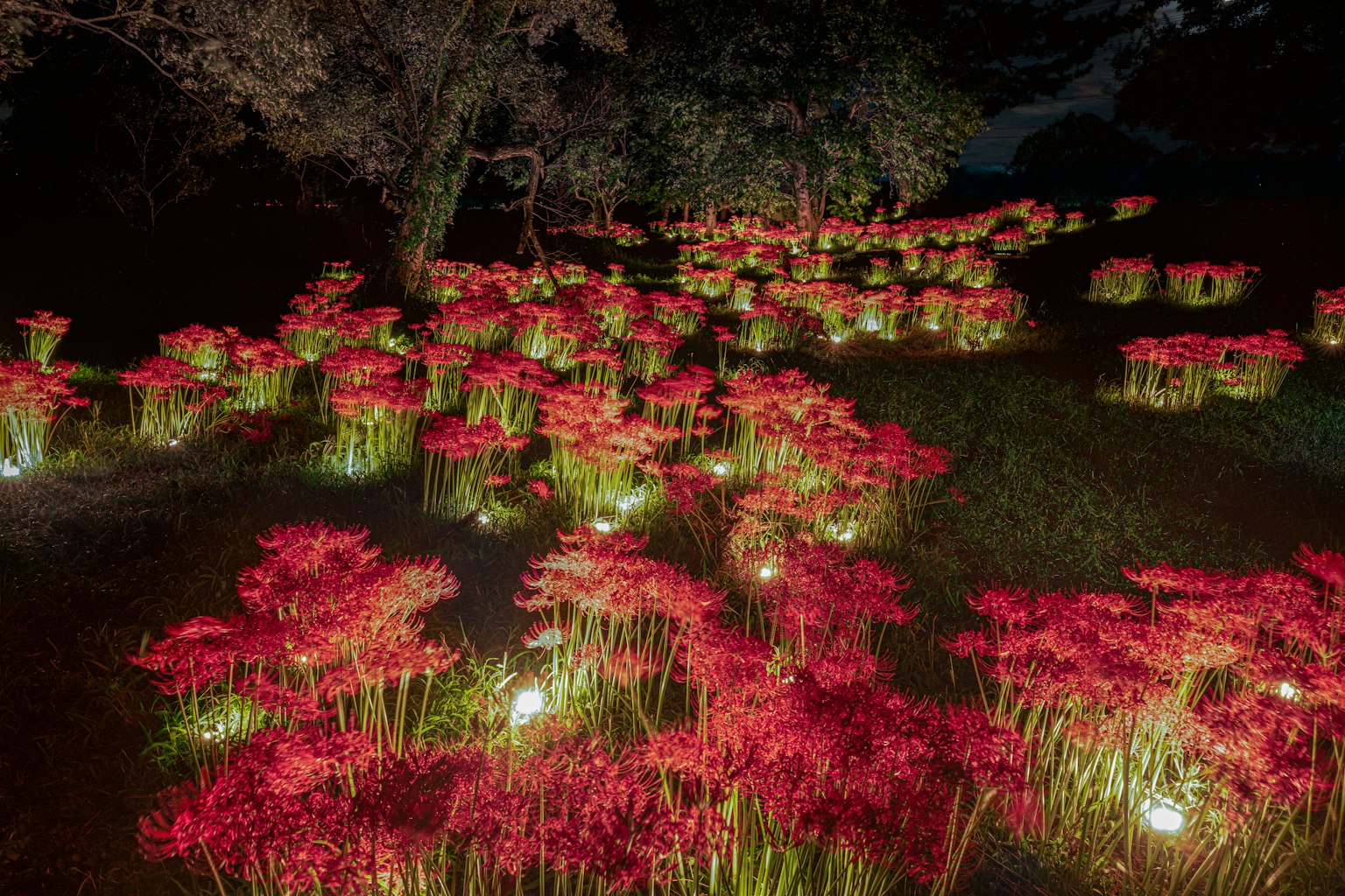 photo-2IF7J4JPAy7s1nOZoR6O-image