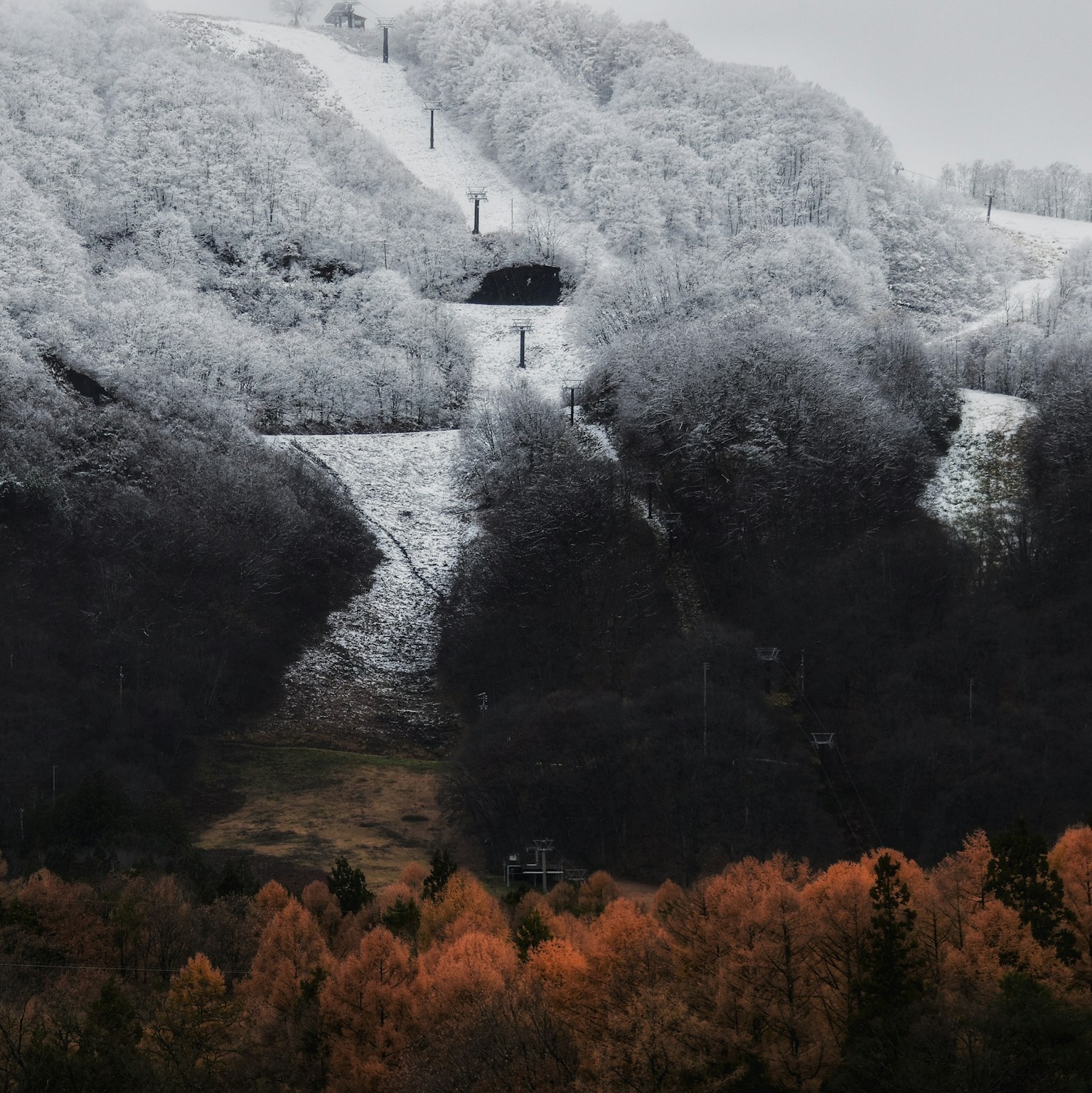 雪に覆われた山とオレンジ色の木々が見える風景