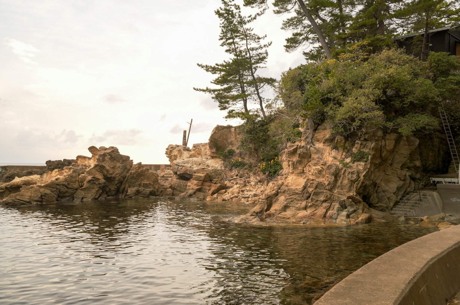 岩石海岸與樹木的風景