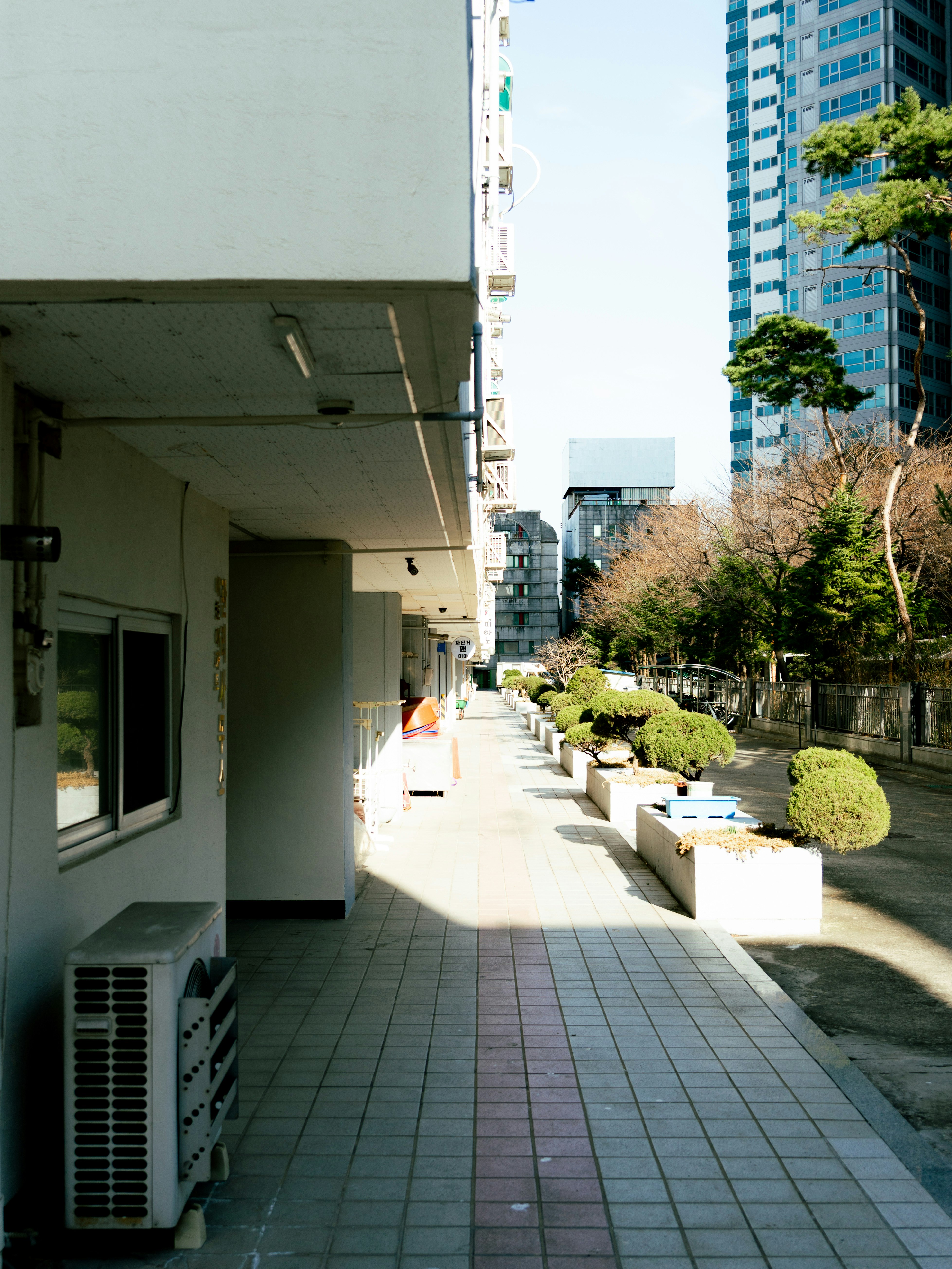 ビルの並ぶ屋外通路と植栽のある街角