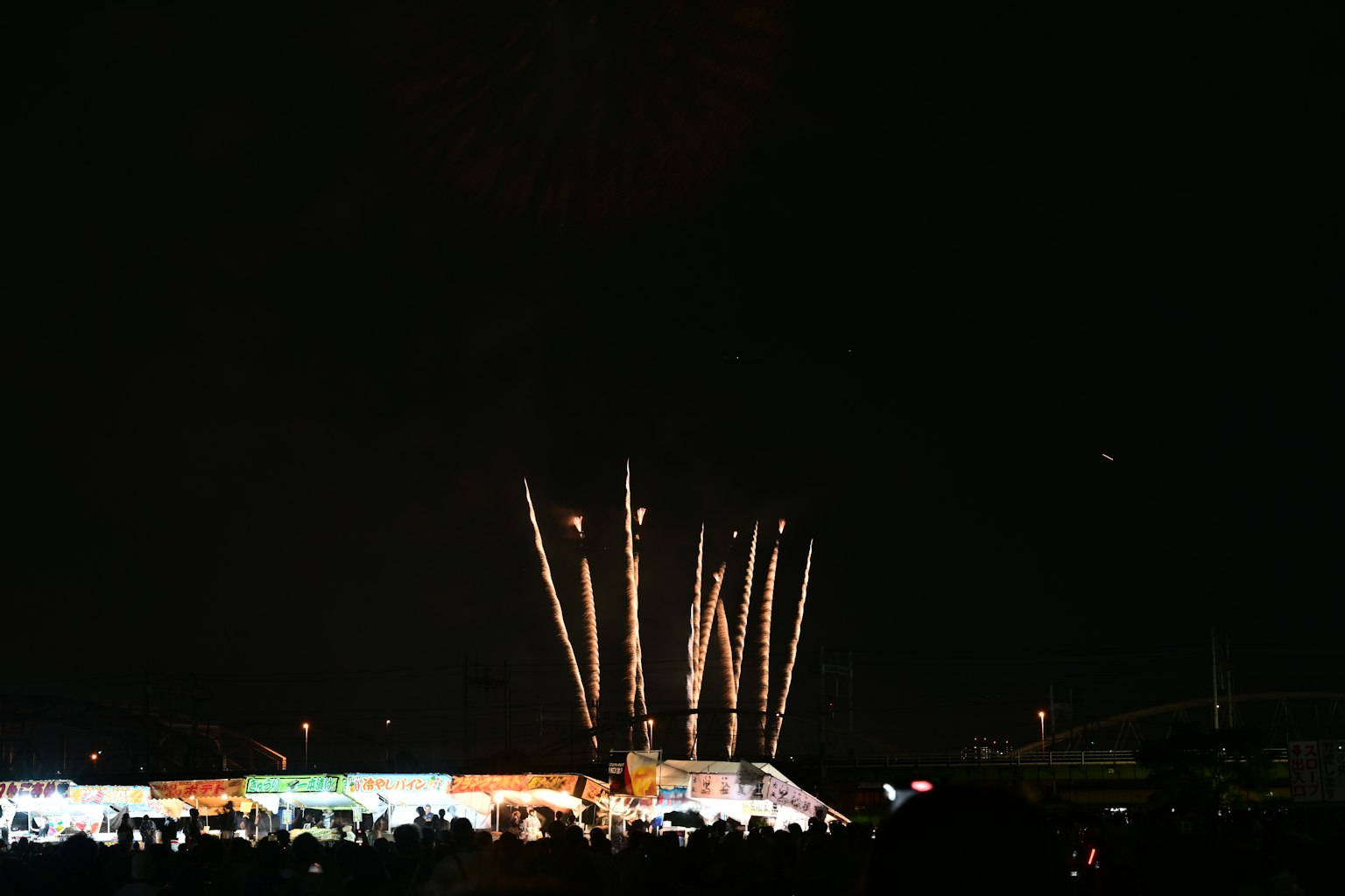 夜空中的烟花表演和观众的轮廓