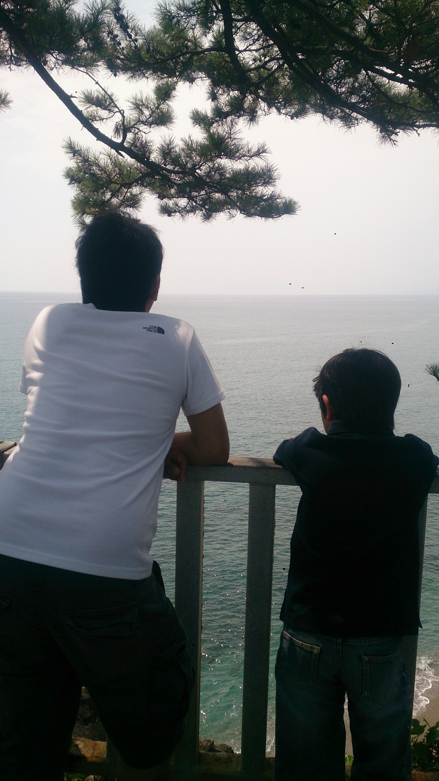 Adult and child gazing at the sea