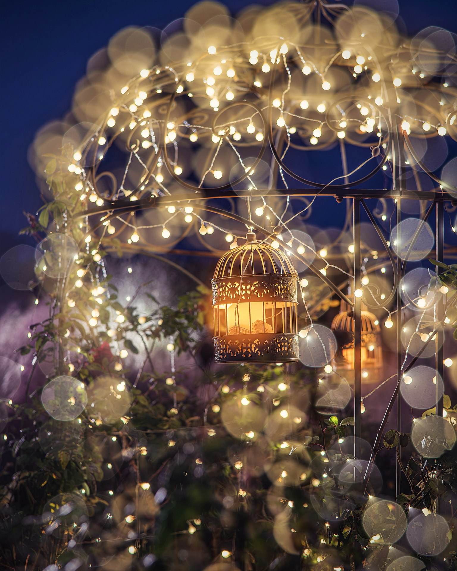 Un arco bellamente iluminado de globos y luces de hadas con una jaula para pájaros colgante bajo el cielo nocturno