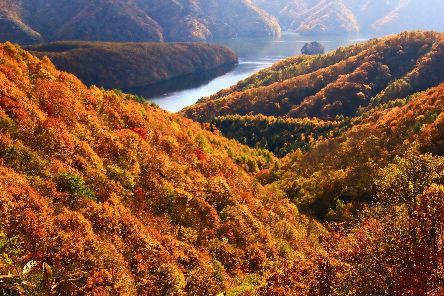 Malersiche Aussicht auf Herbstlaub mit Bergen und einem Fluss