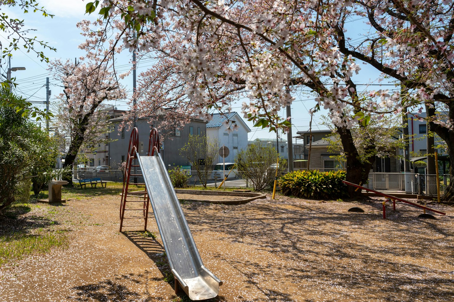 Seluncuran taman di bawah pohon sakura