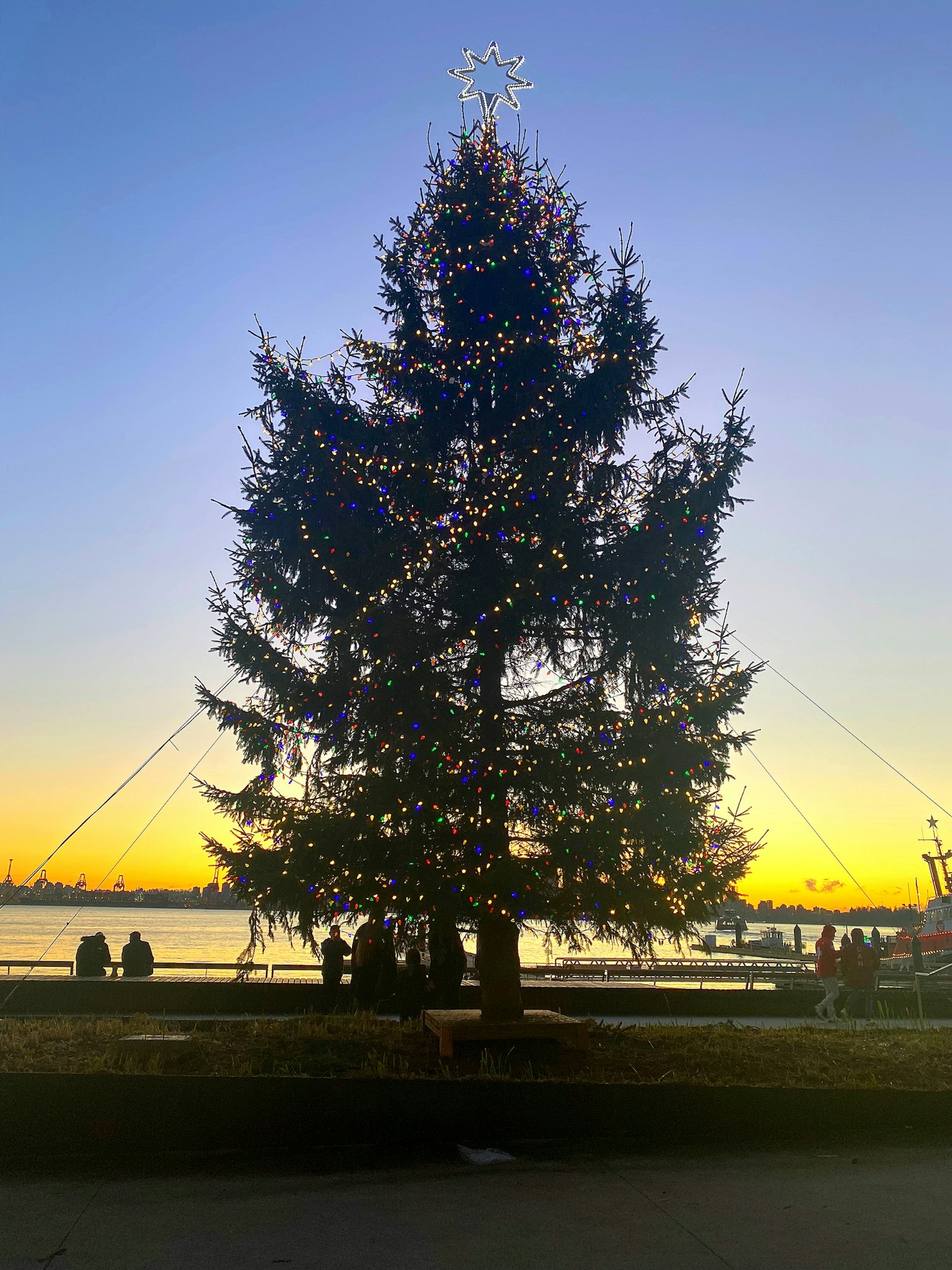 Albero di Natale decorato con luci contro uno sfondo di tramonto