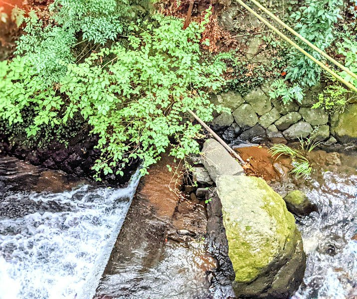 arroyo que fluye junto a piedras cubiertas de musgo
