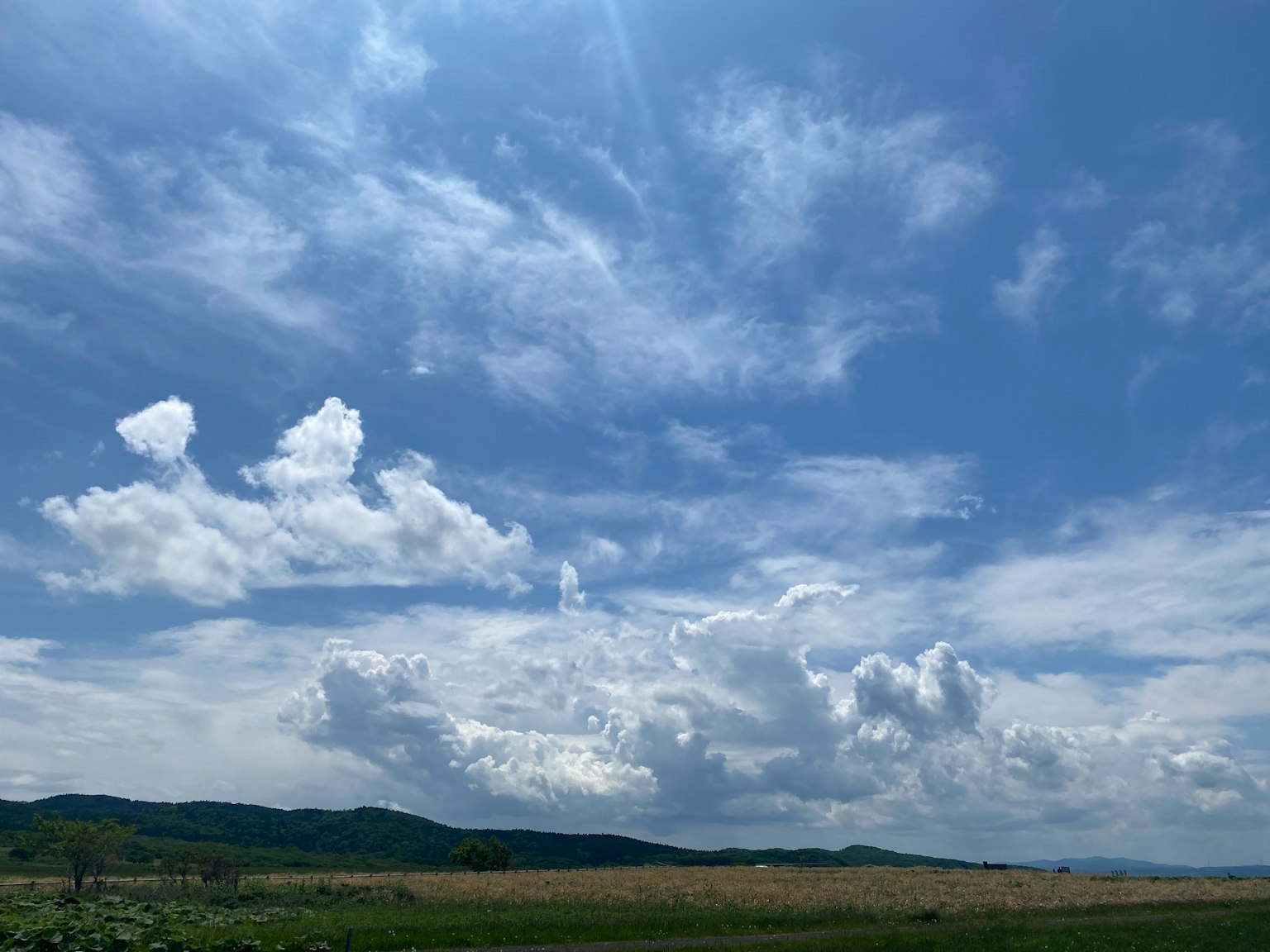 Vast blue sky with fluffy white clouds