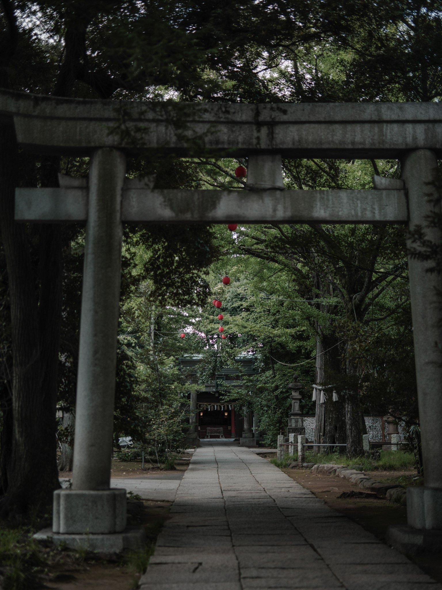 Puerta torii rodeada de vegetación que conduce a un santuario
