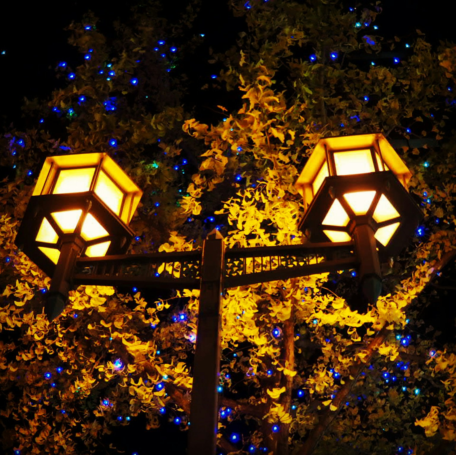 Street lamp with warm light and autumn leaves at night