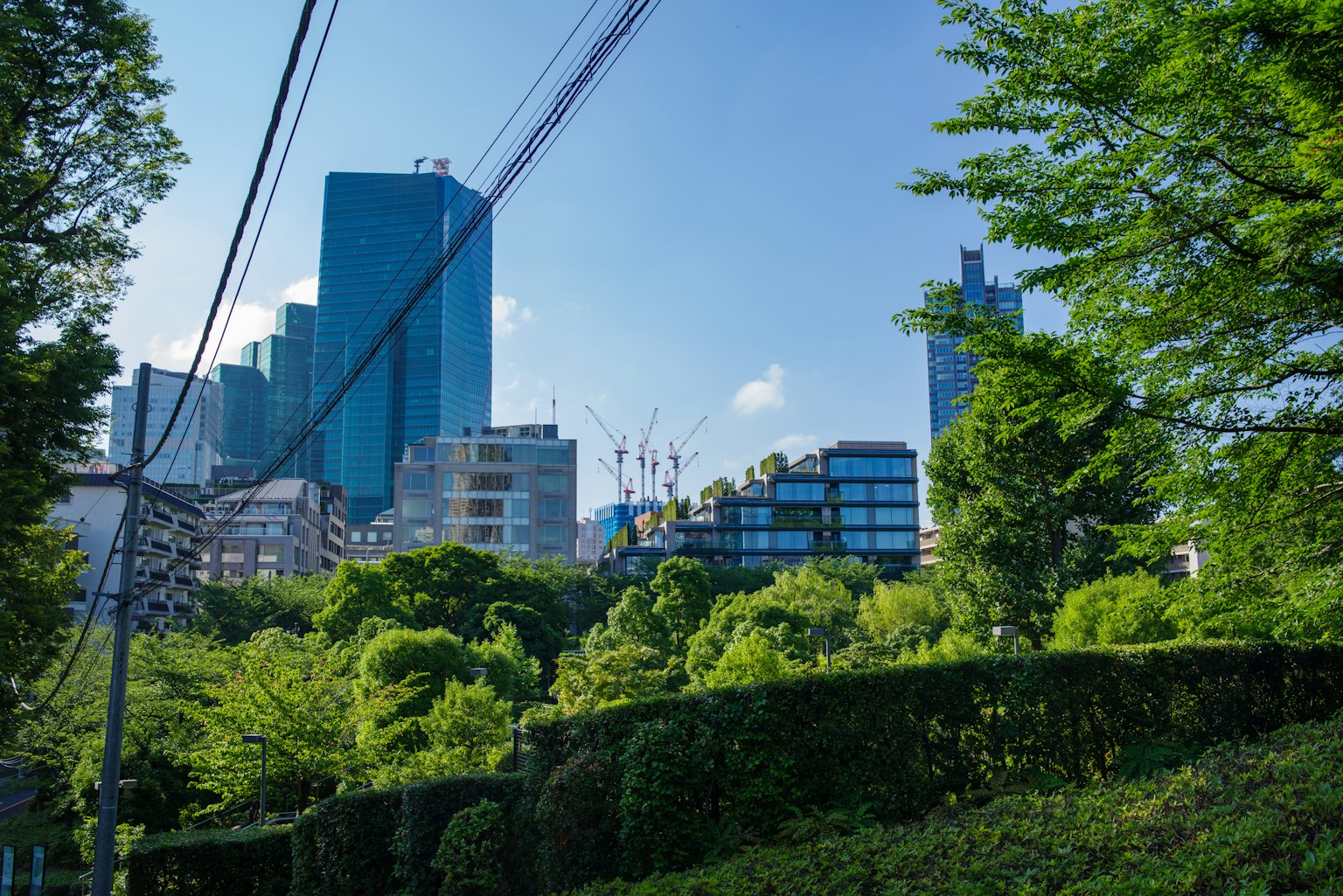 Panorama urbano con grattacieli blu e un parco verdeggiante