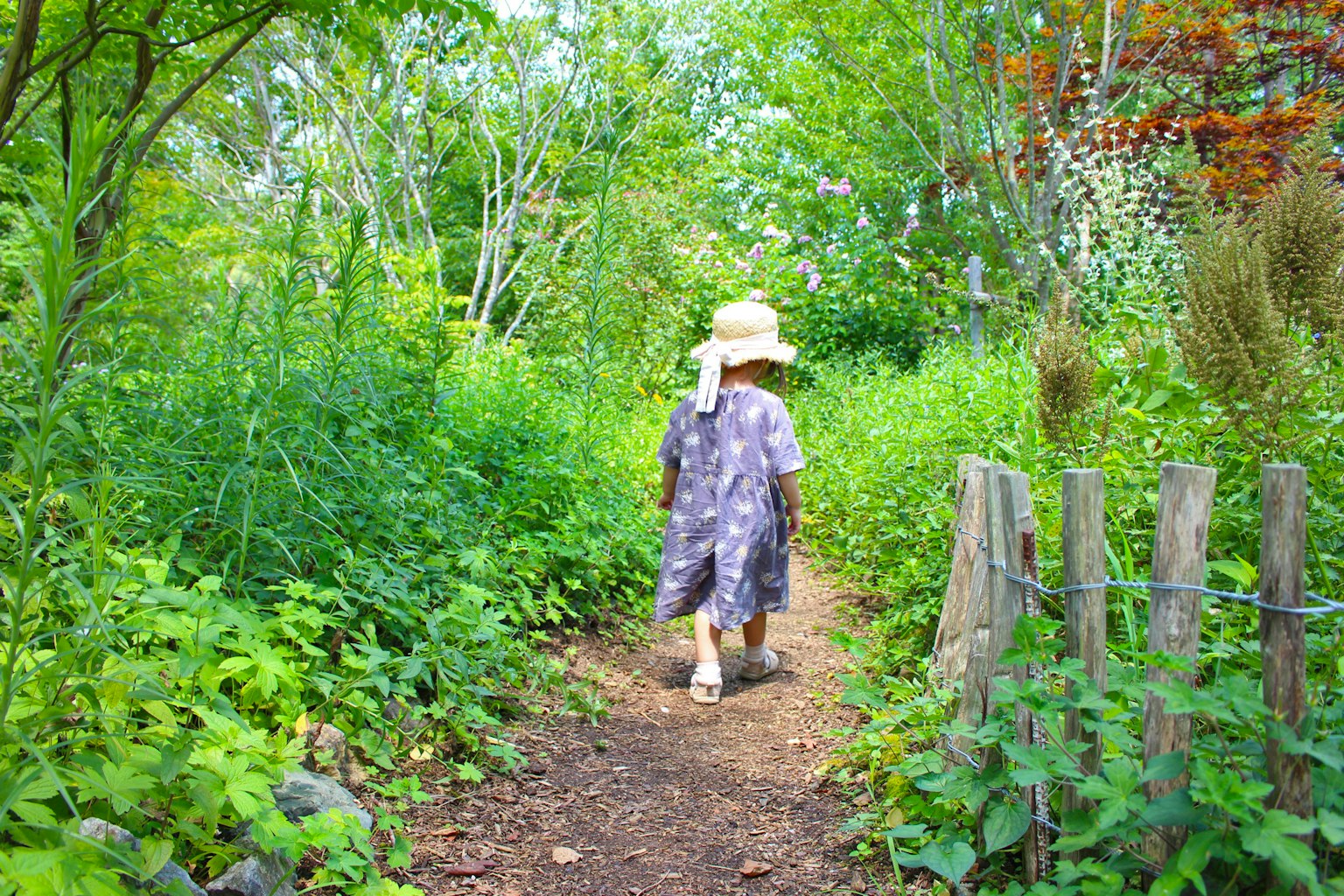 Trẻ em đi trên con đường xanh mặc mũ và quần áo thoải mái