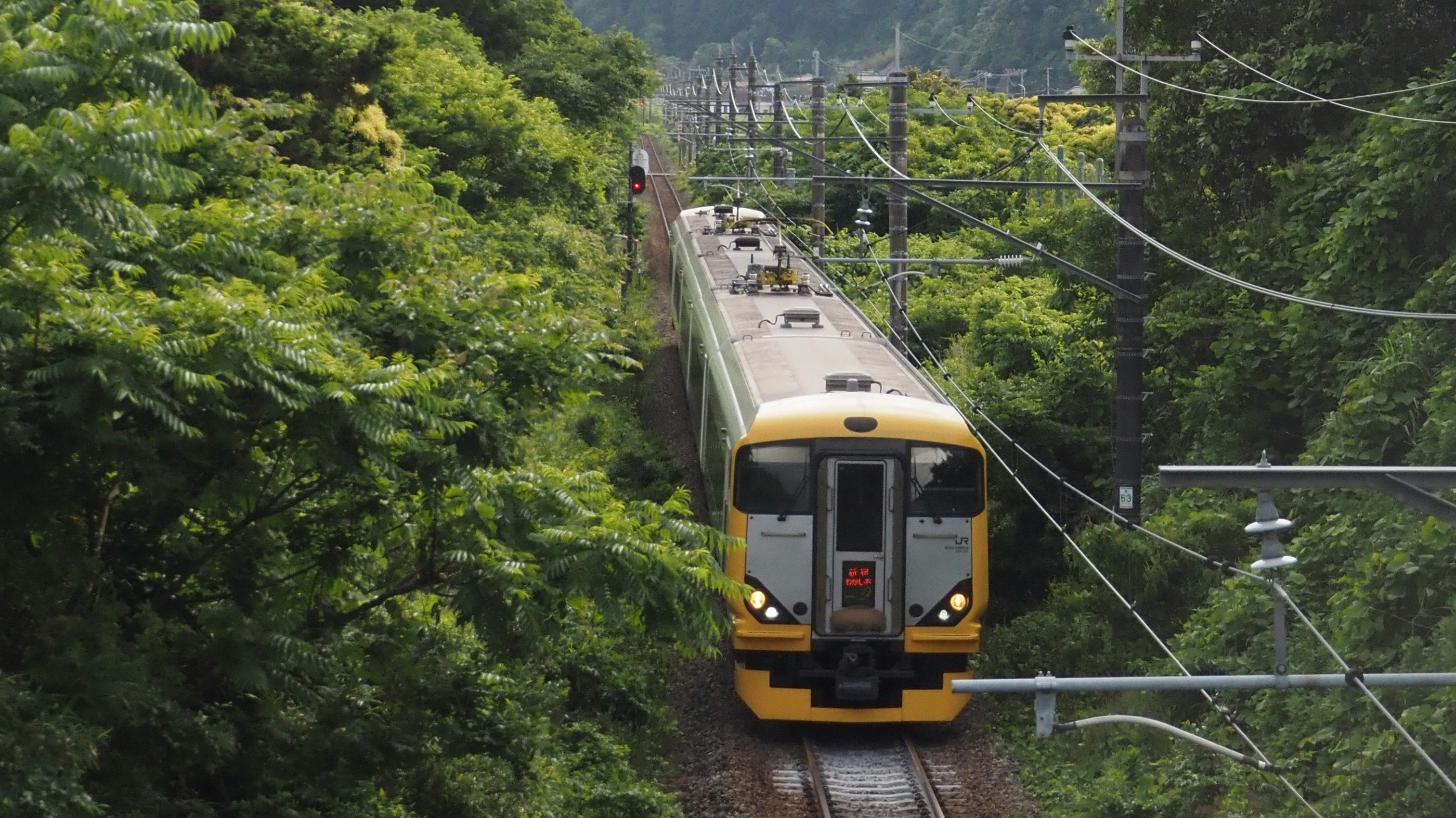 รถไฟด่วนพิเศษวากาชิโอะ สายโซโตโบของ JR East Japan (ซีรีส์ E257) วิ่งผ่านภูเขาเขียวขจี ภาพ