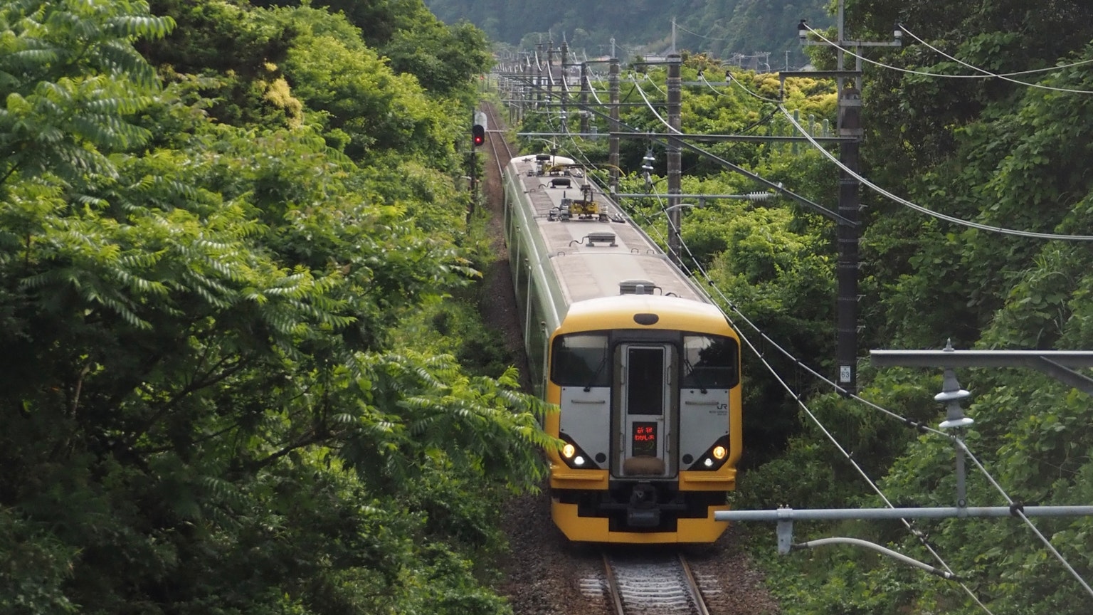 รถไฟสีเหลืองวิ่งผ่านภูมิทัศน์สีเขียว