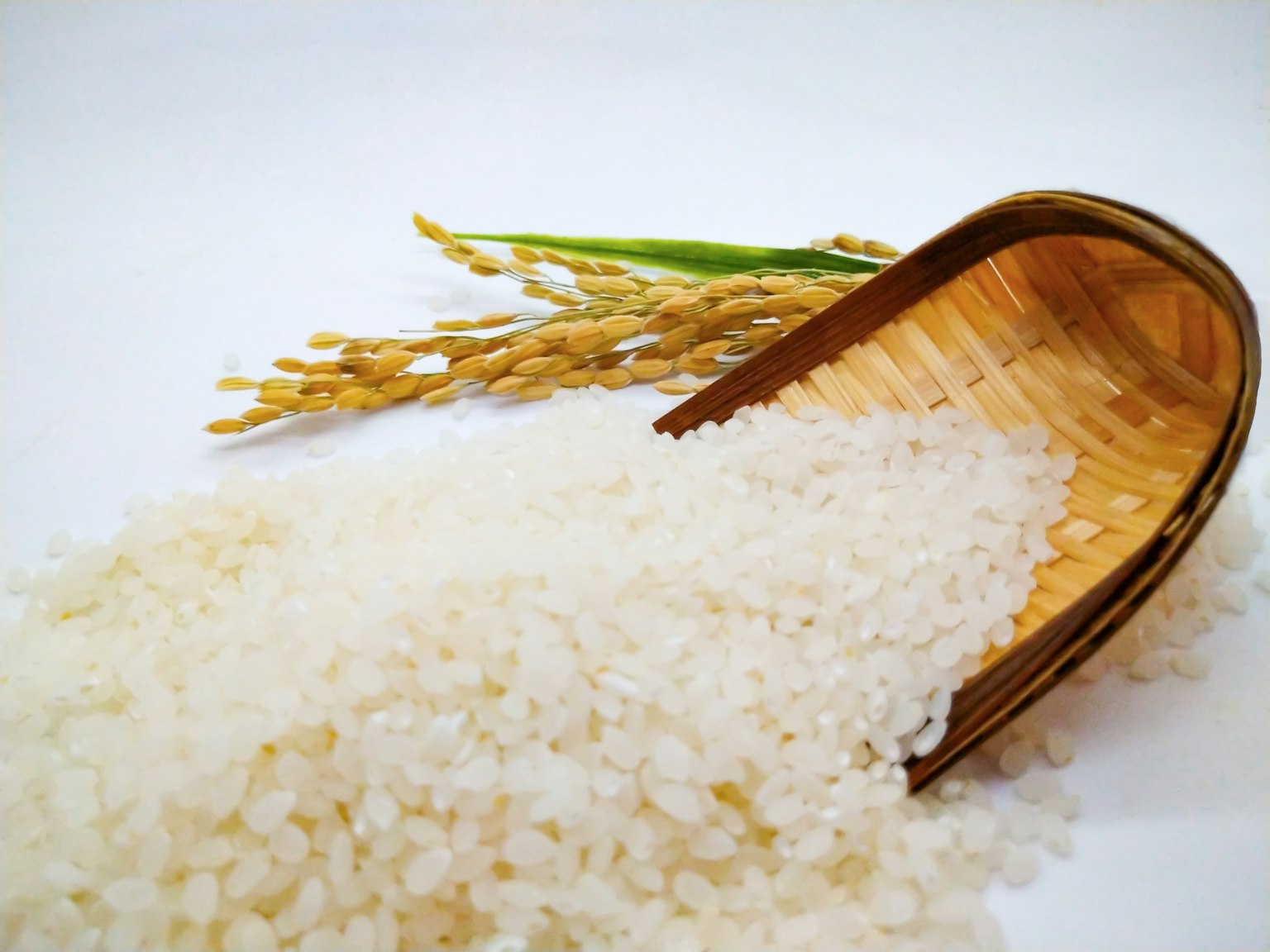 Image of white rice spilling from a wooden scoop with rice stalks