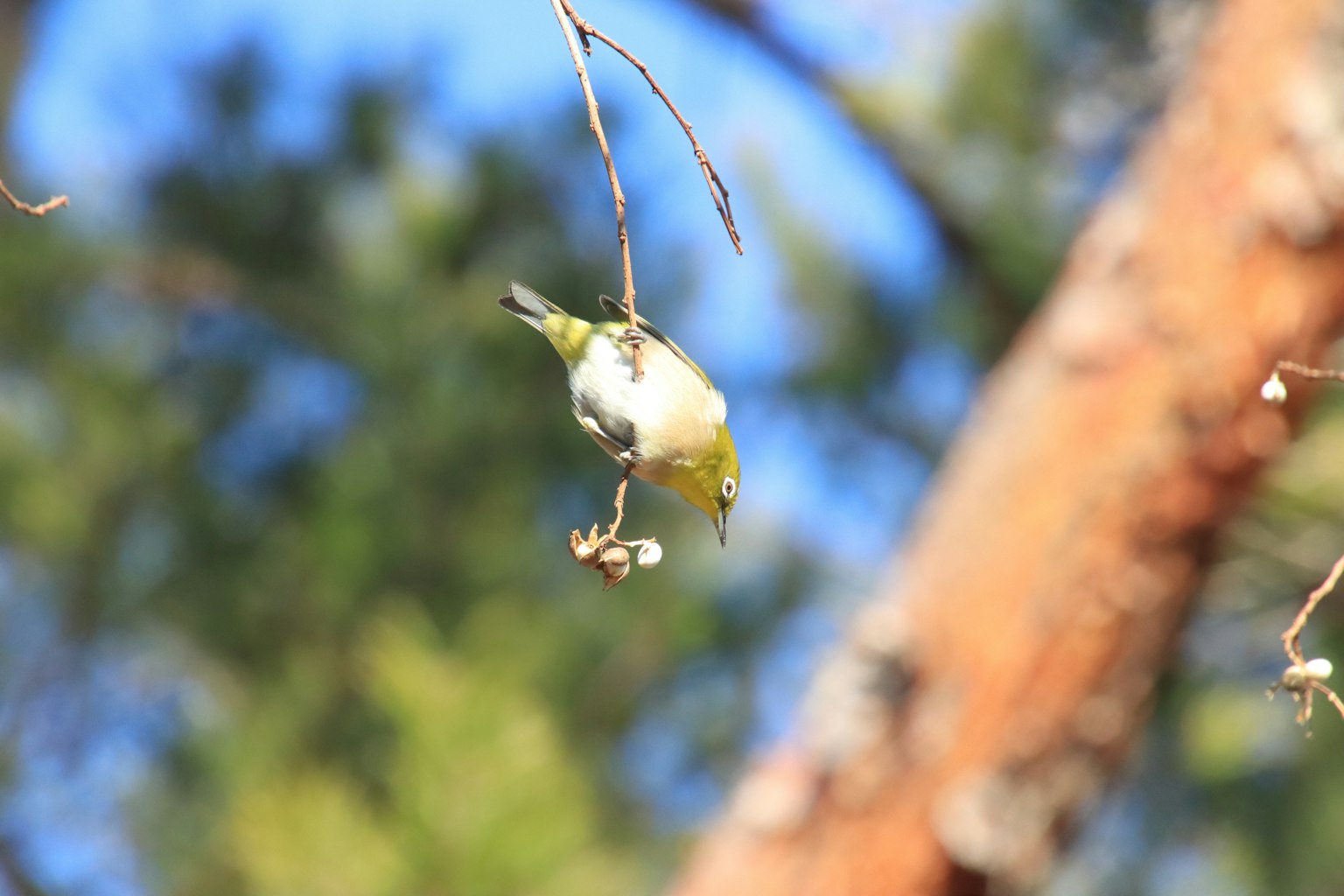 photo-2MlRh67xW55dMkYVB89s-image