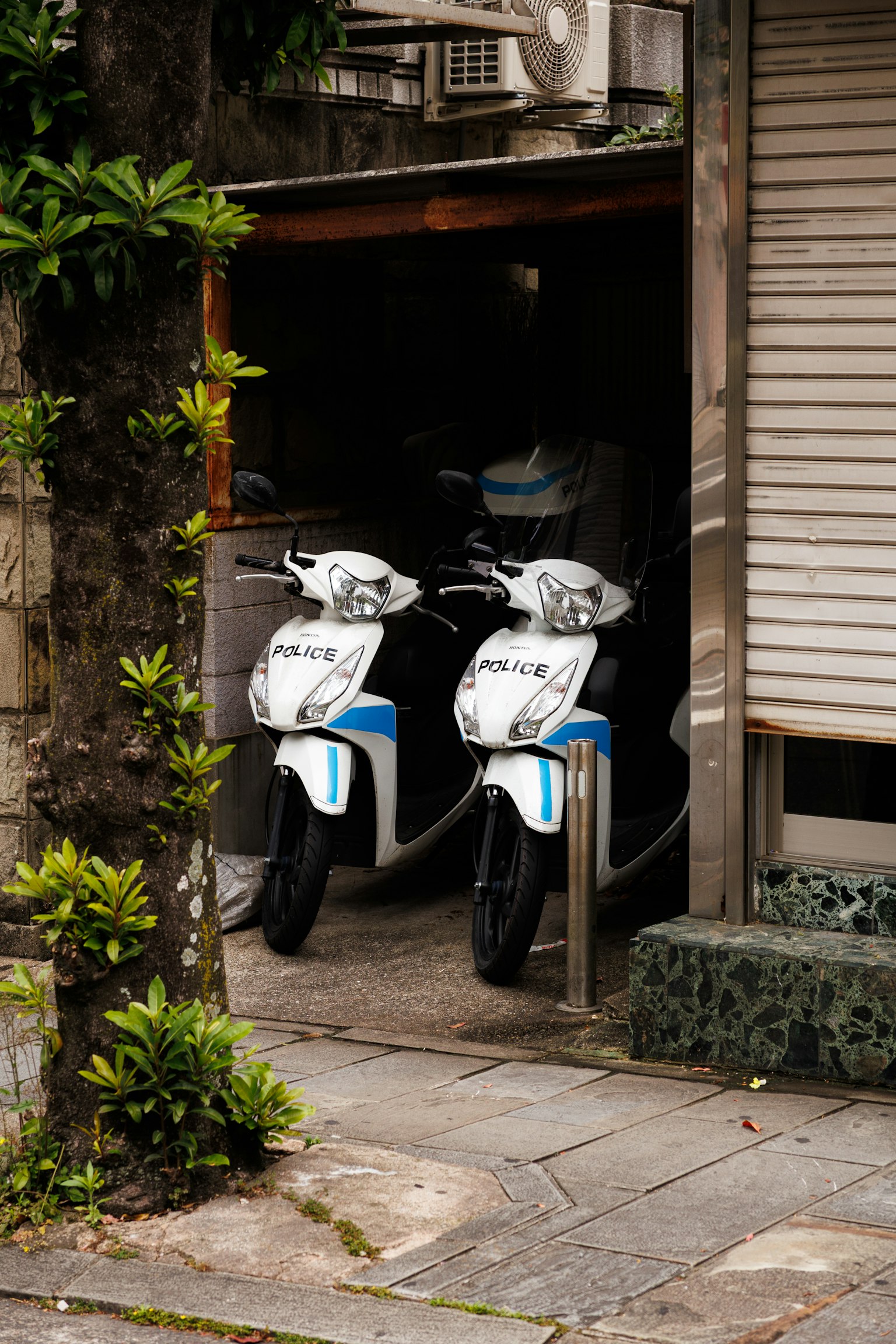 二台の白いスクーターがガレージの中に停まっている 緑の植物が周囲に見える