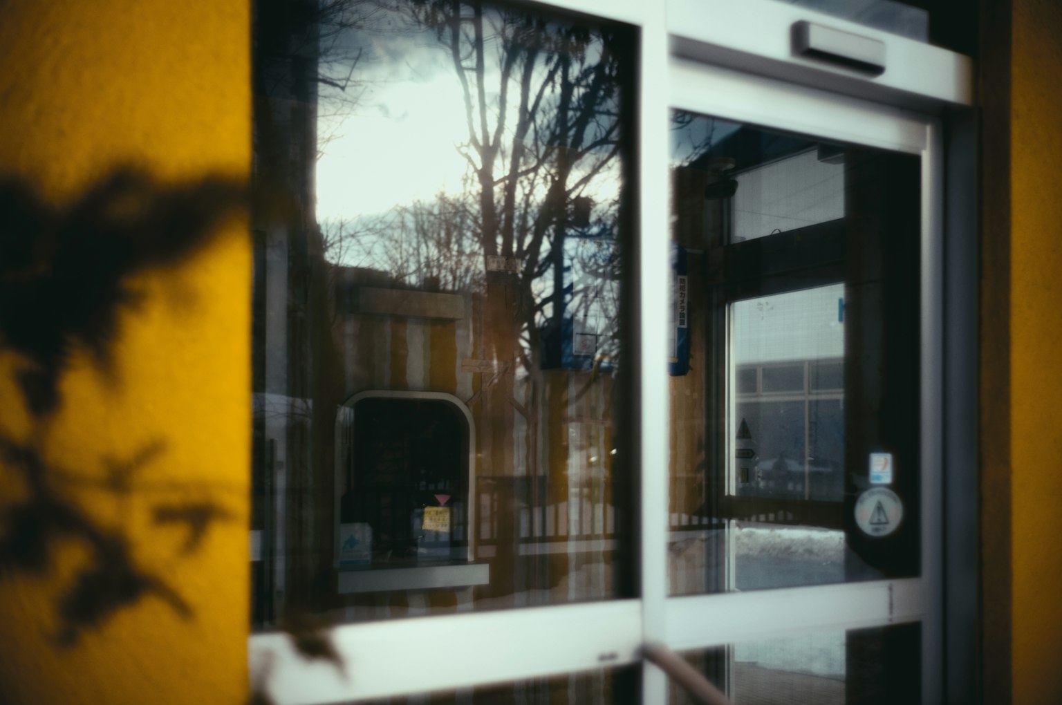 Reflejo de árboles y edificios en una puerta de vidrio con una pared amarilla