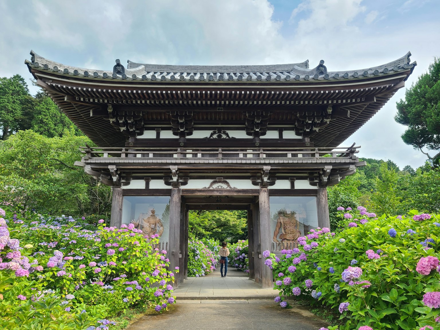 Traditionelles japanisches Tor umgeben von lebhaften Hortensien und blauem Himmel
