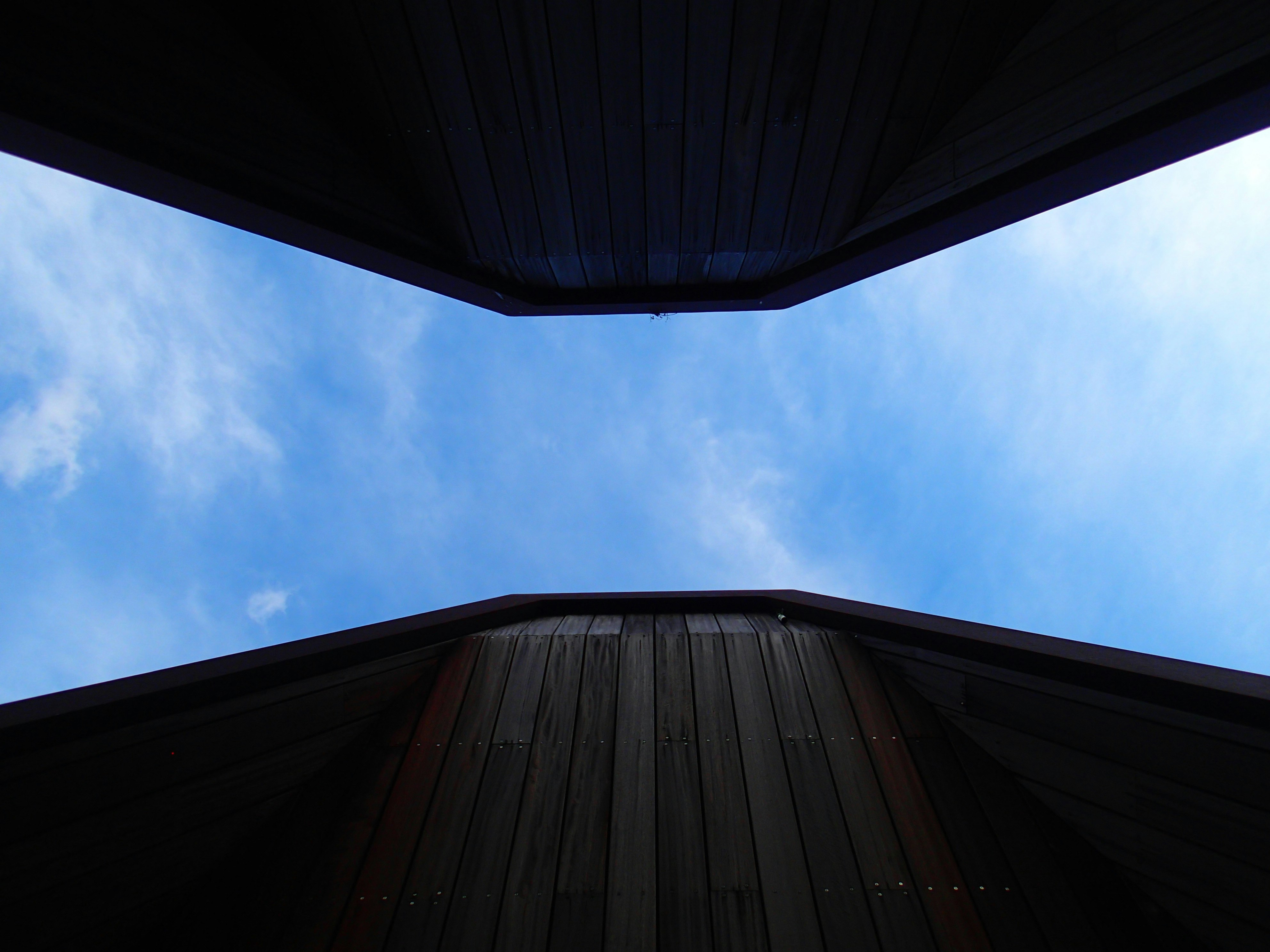 空を見上げる建物のアーチ状の天井と梁