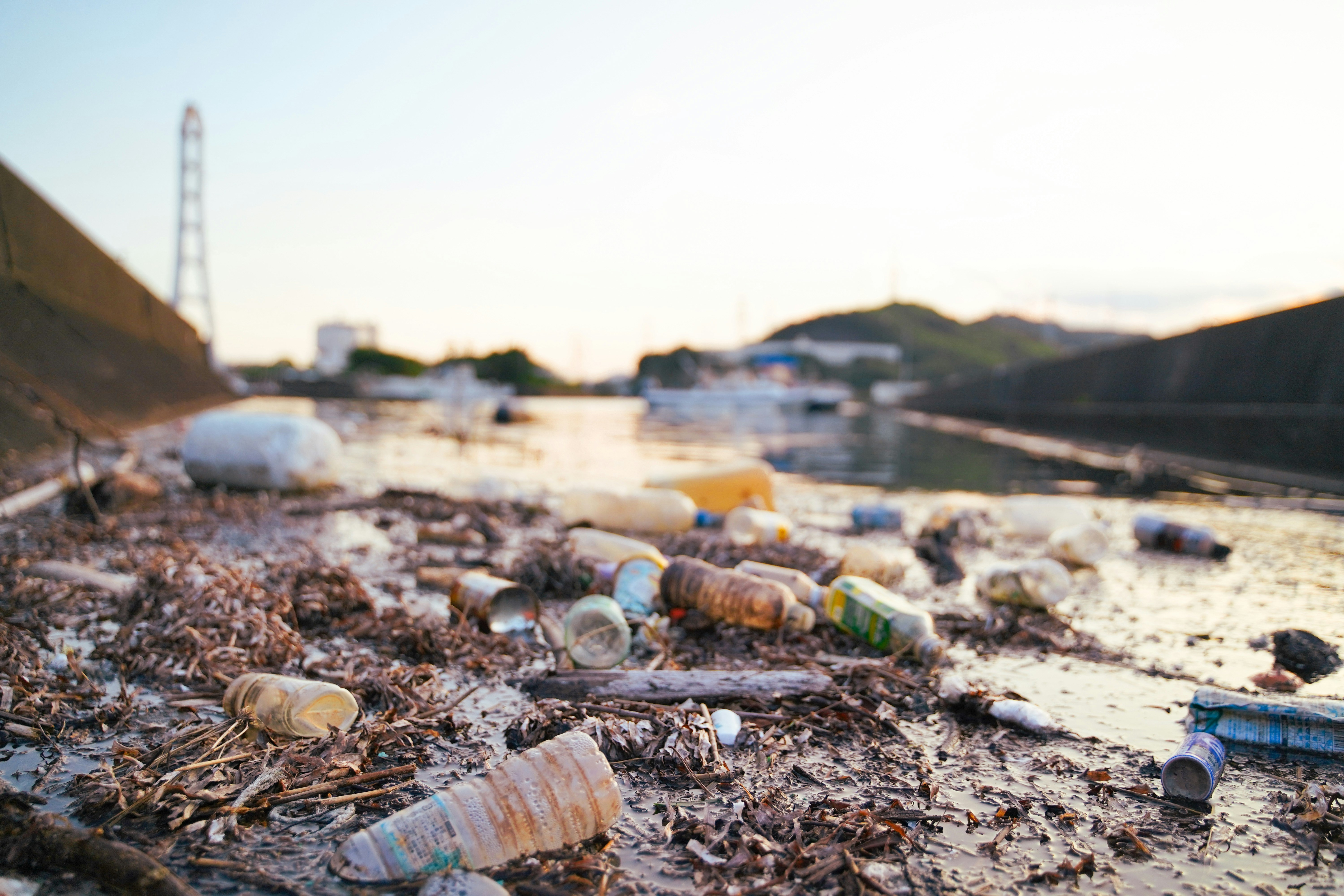 beach litter with scattered plastic bottles and debris