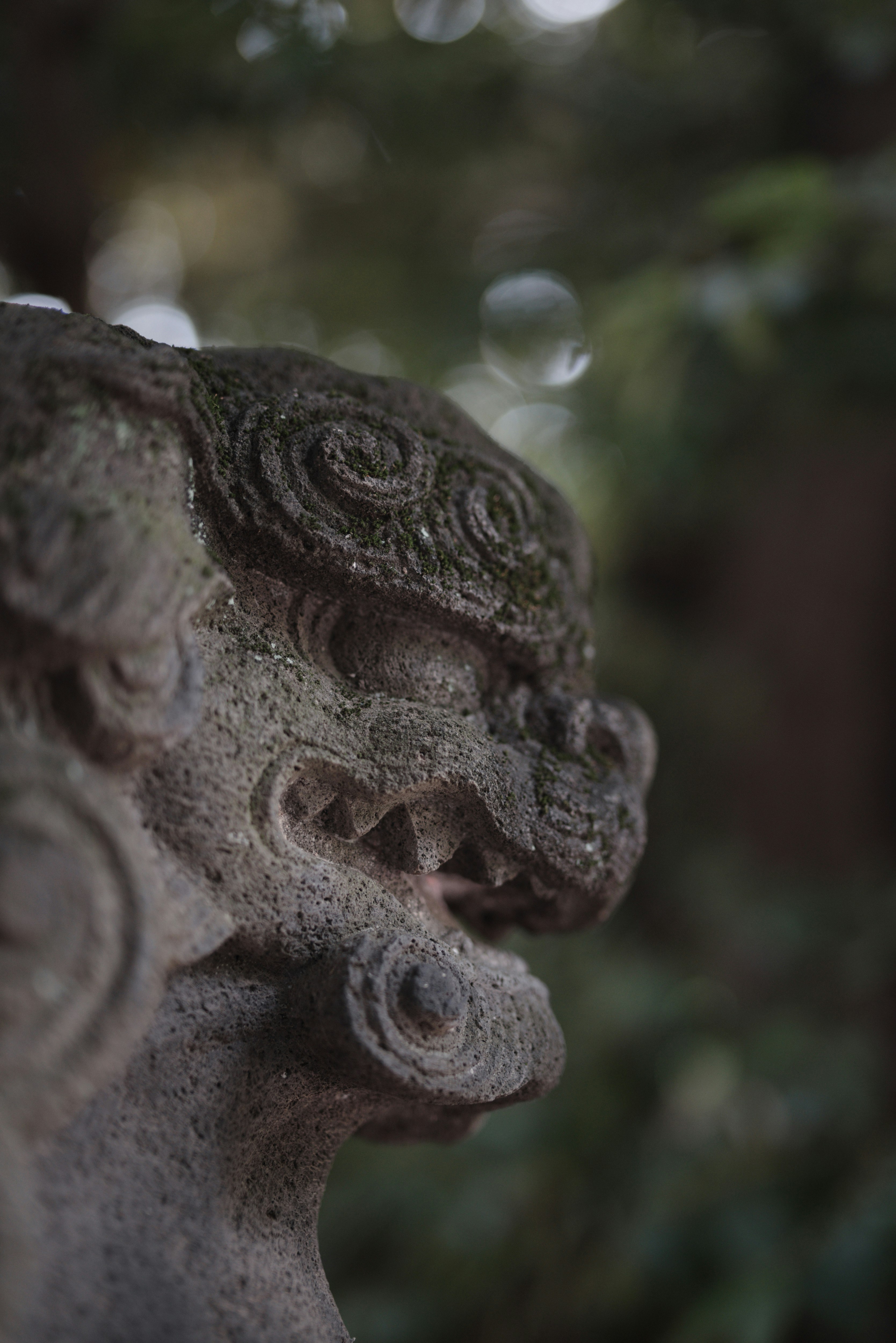 神社狛犬側臉特寫